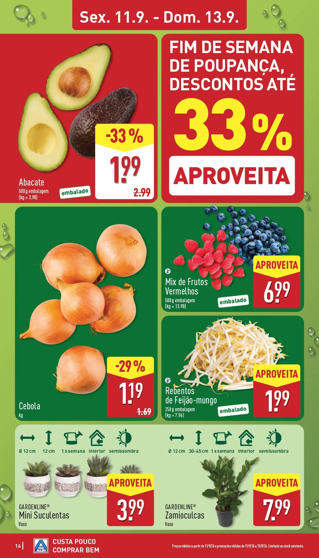 Flyer page 16