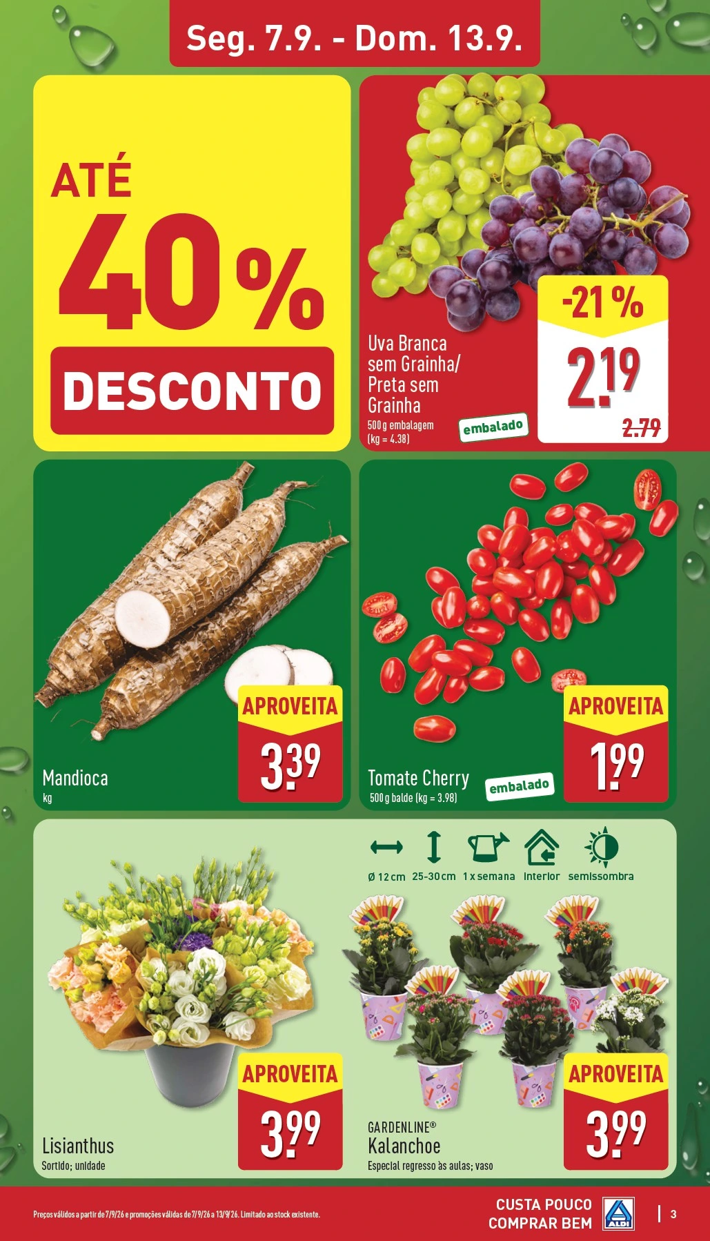 Flyer page 3
