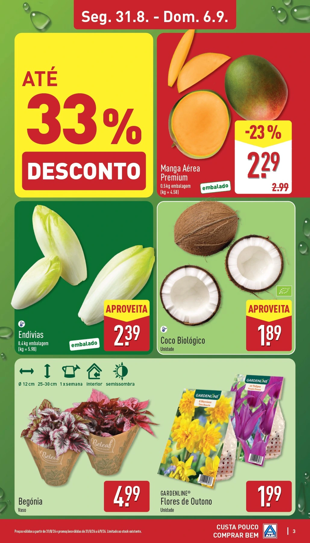 Flyer page 3