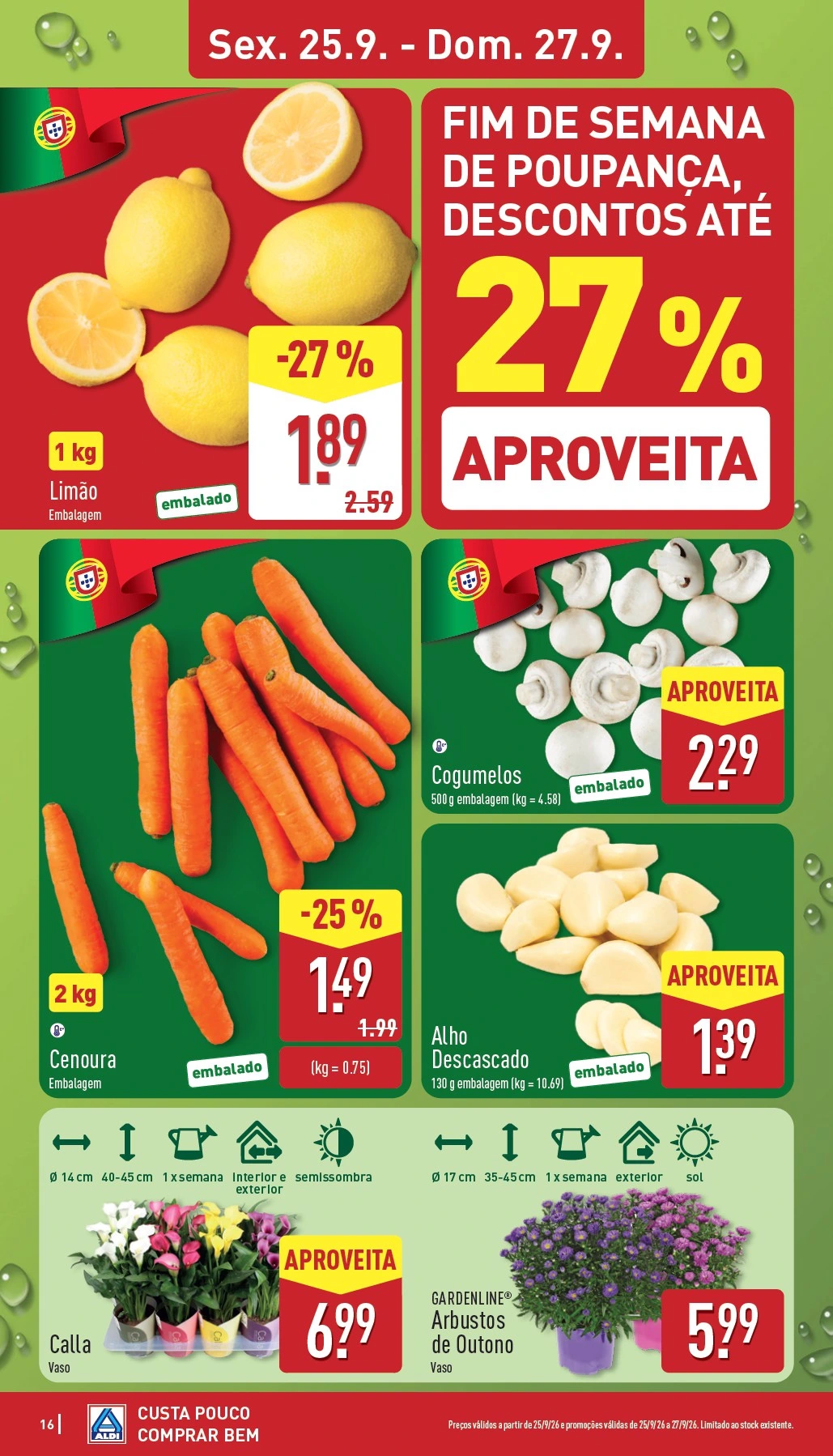Flyer page 16
