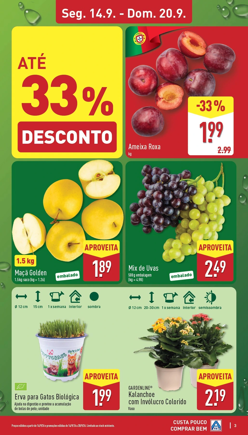 Flyer page 3