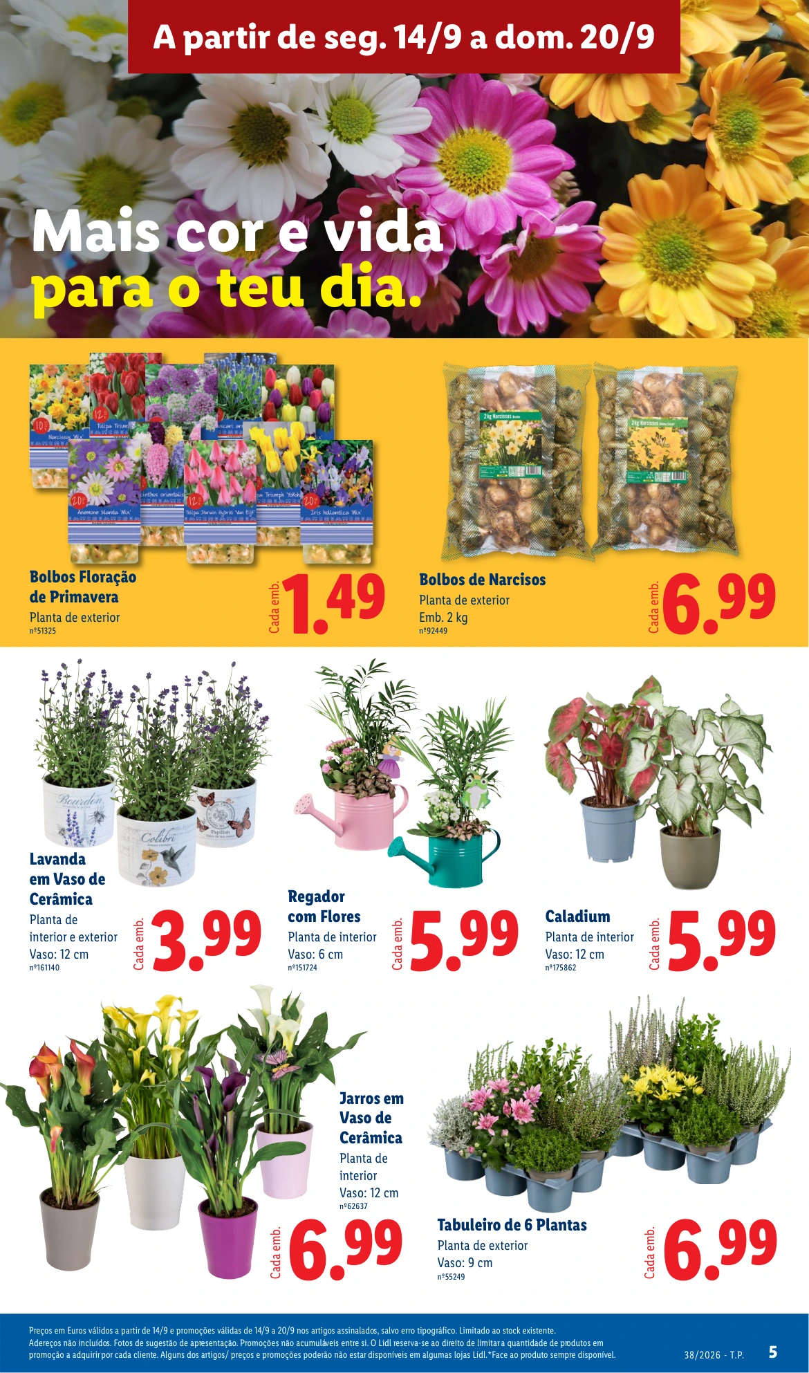 Flyer page 5