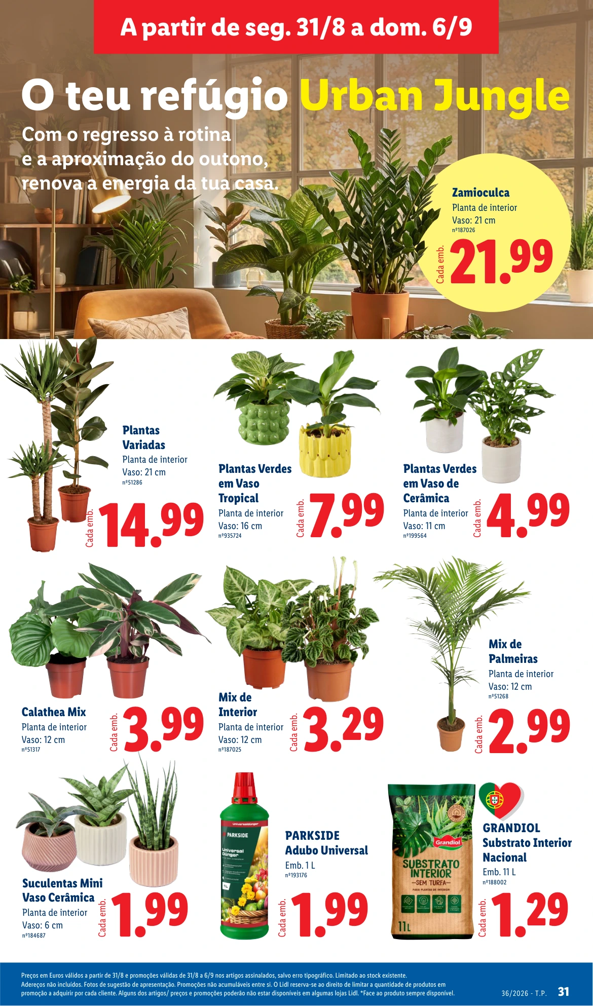 Flyer page 31