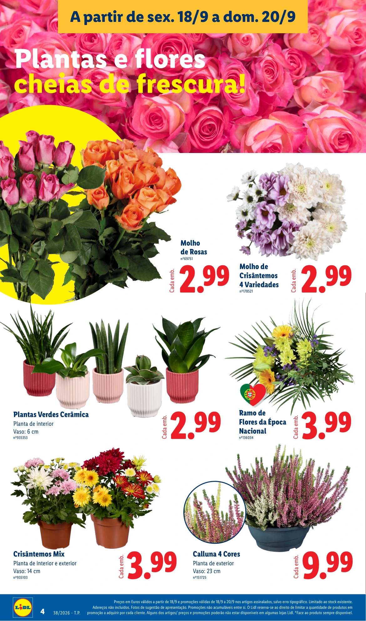 Flyer page 4