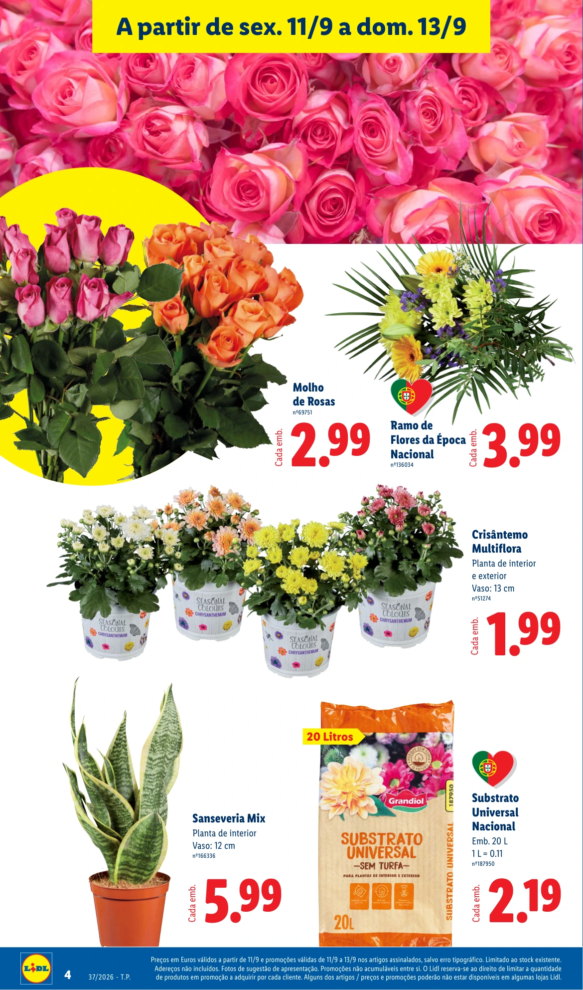 Flyer page 4