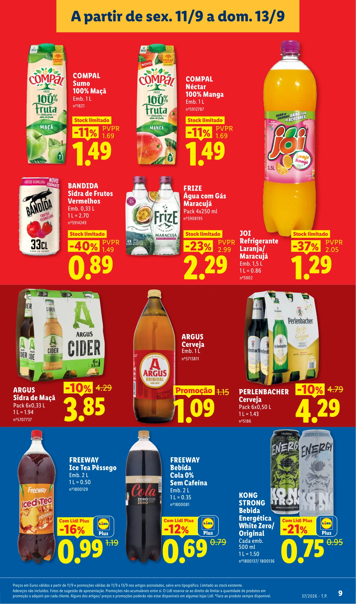 Flyer page 9
