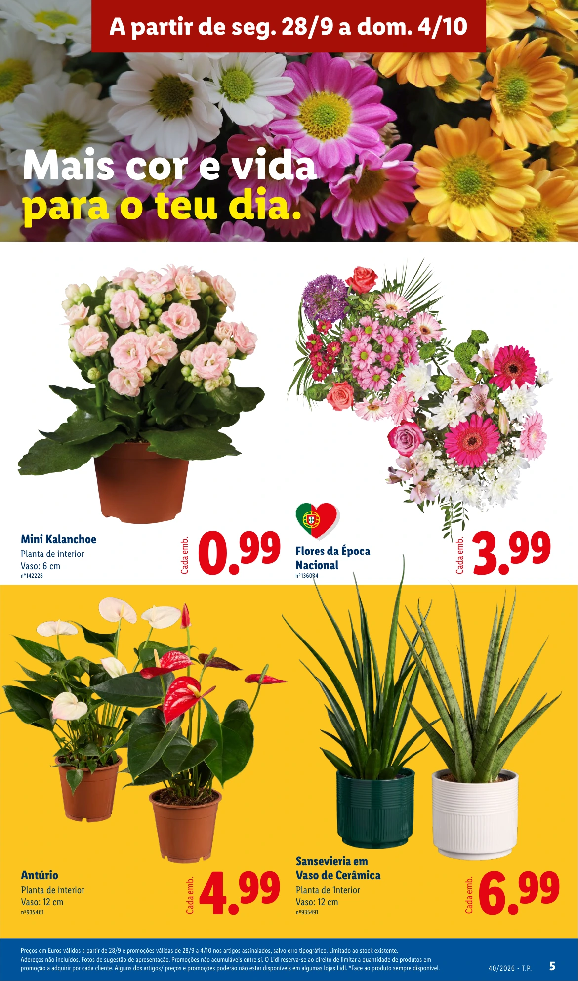 Flyer page 5