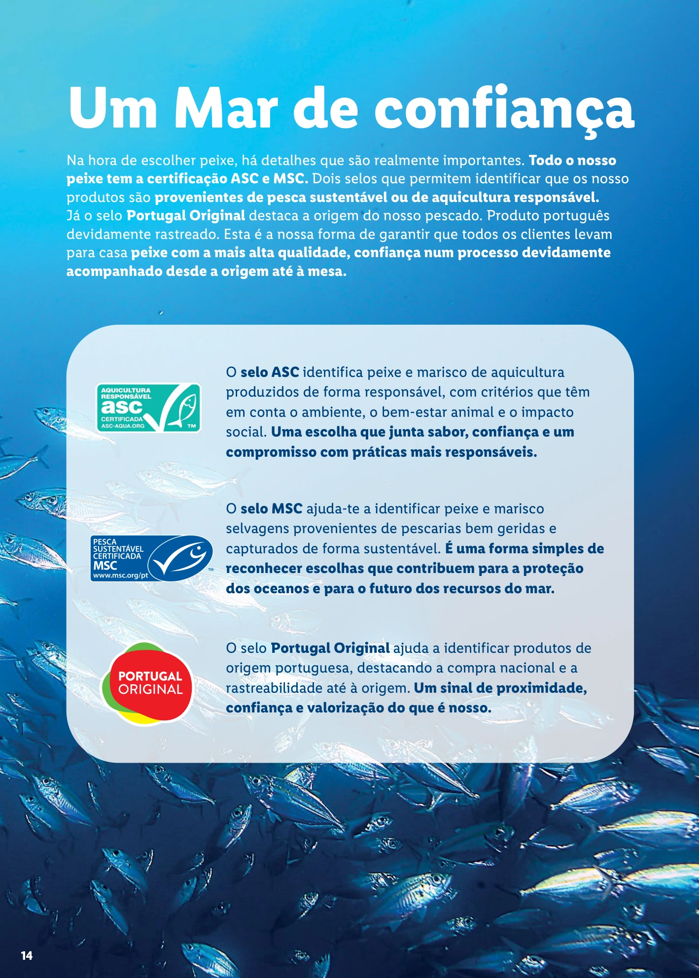 Flyer page 14