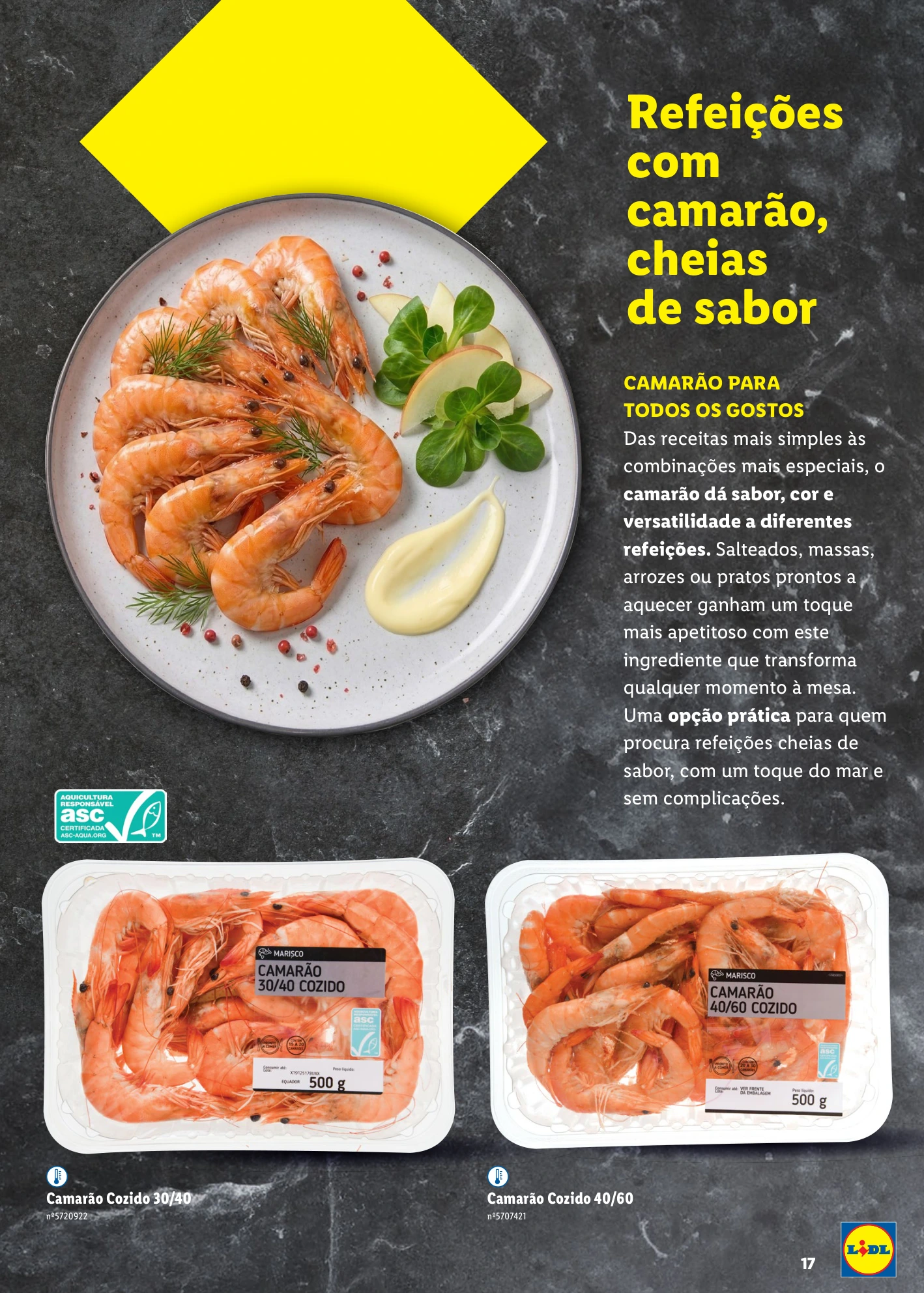 Flyer page 17