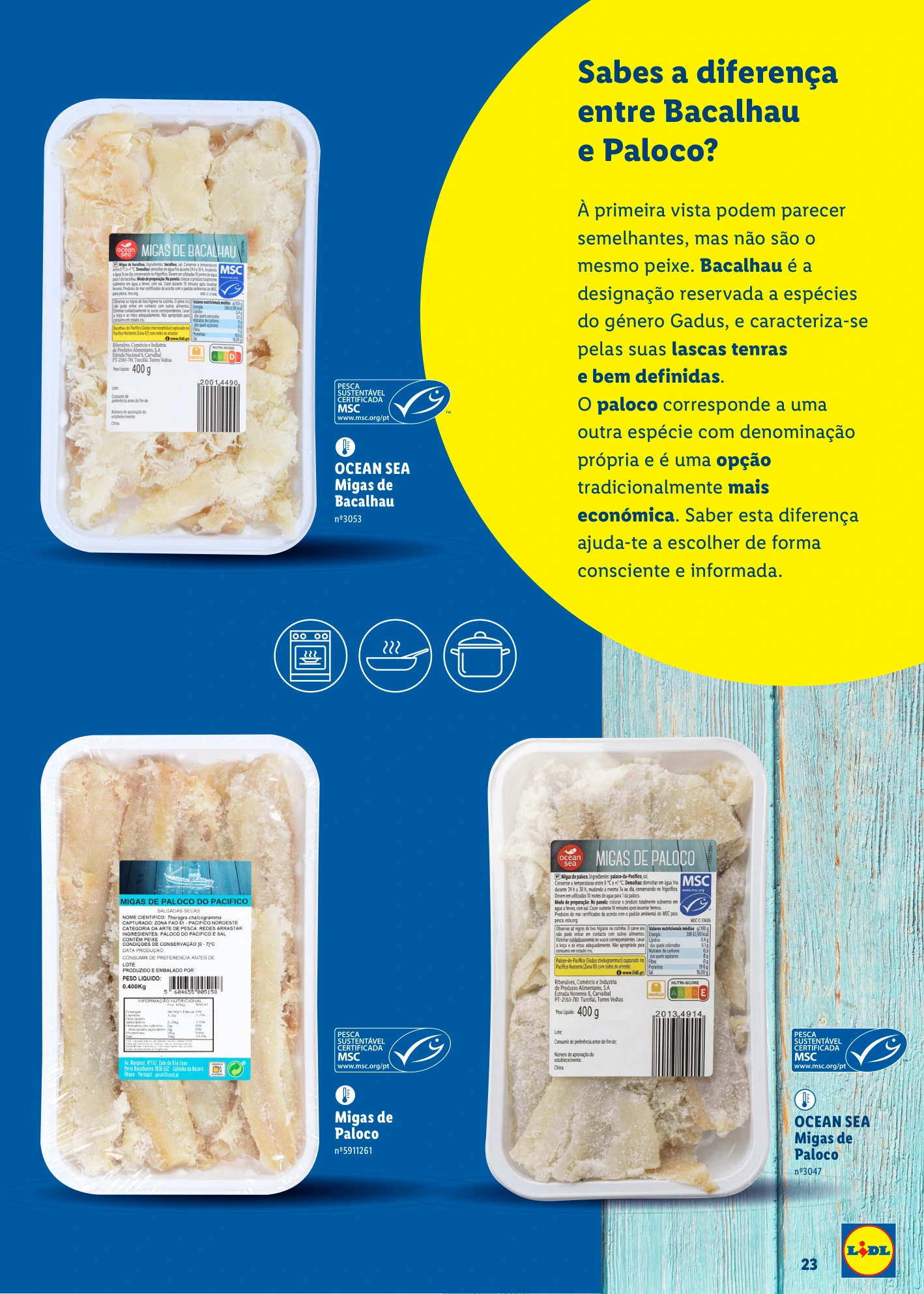 Flyer page 23
