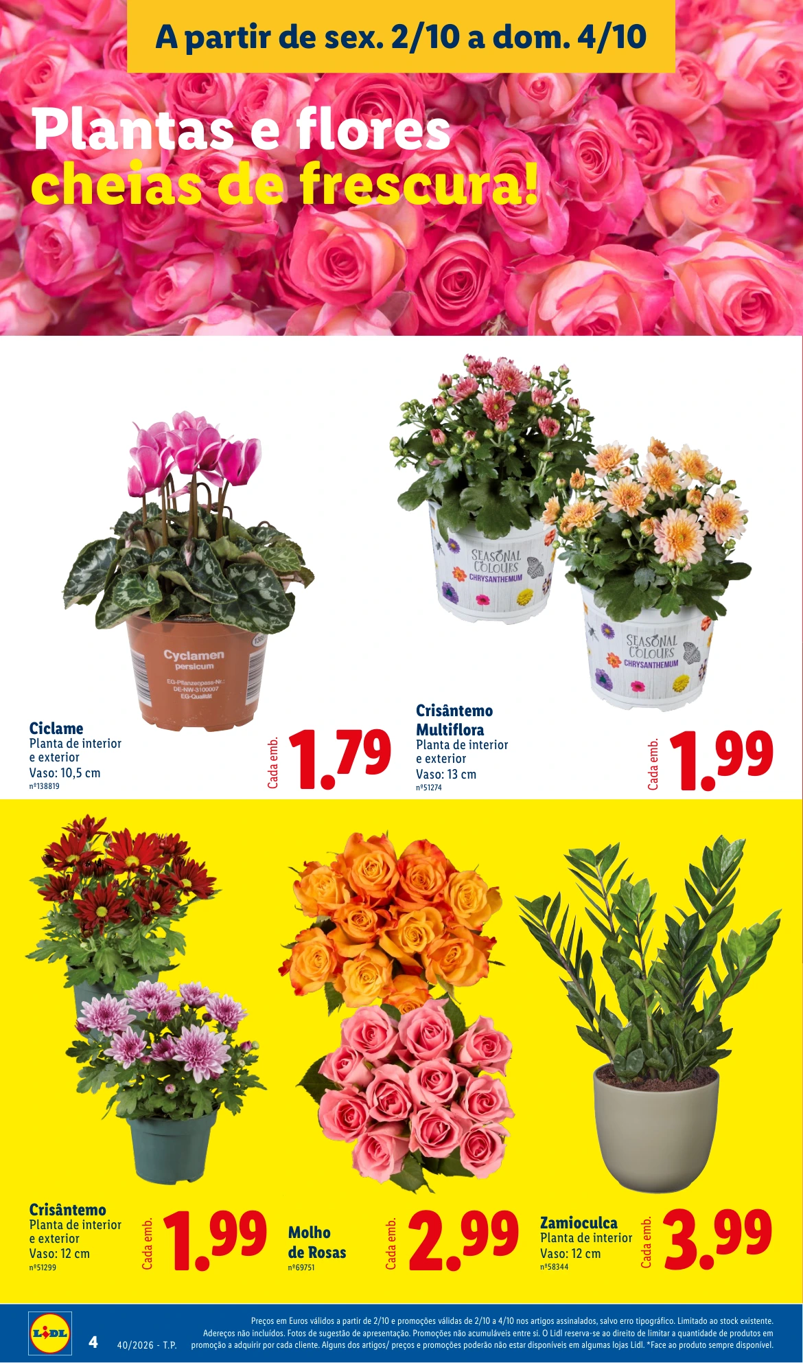 Flyer page 4