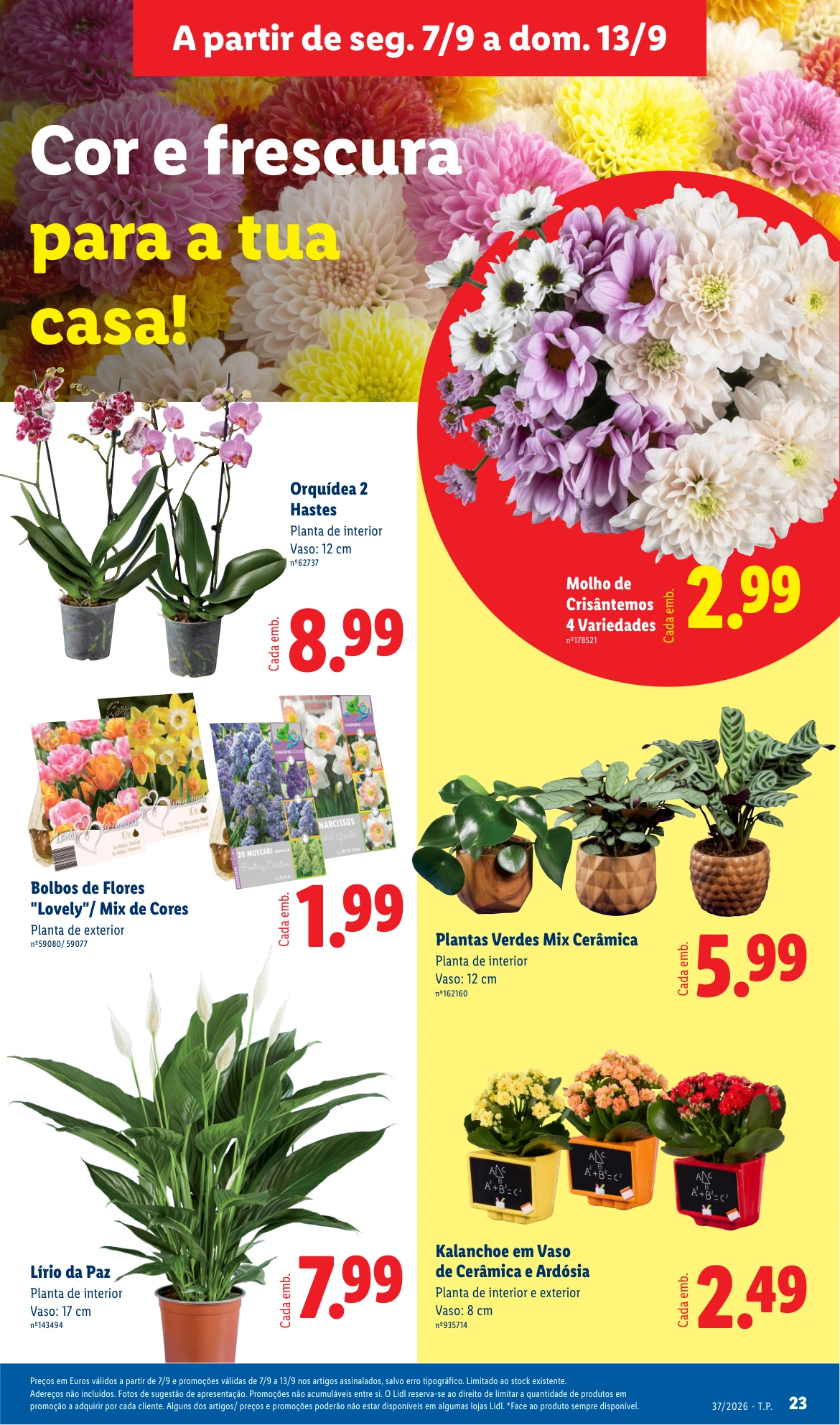 Flyer page 25