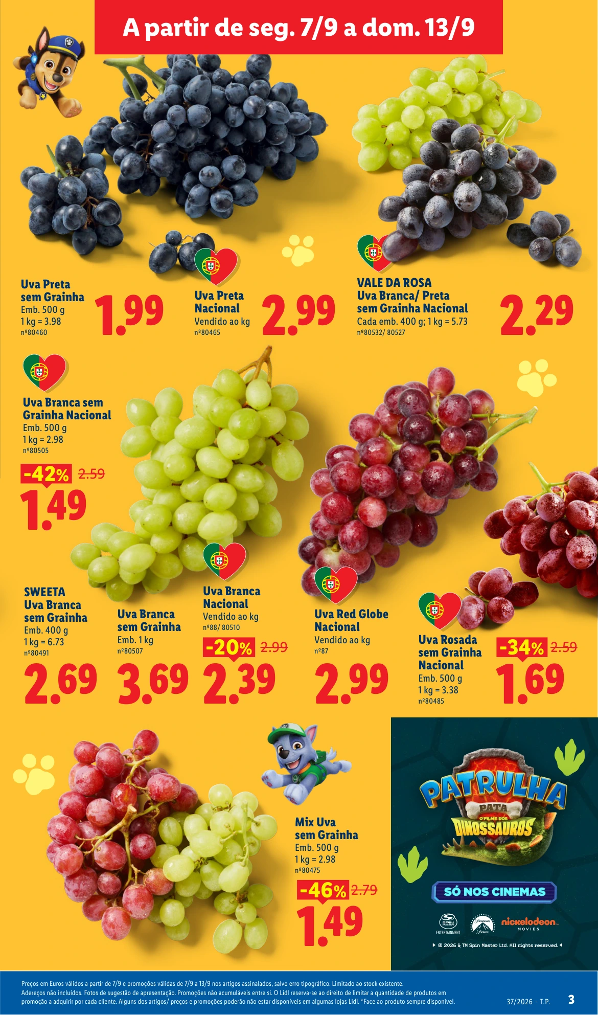 Flyer page 5