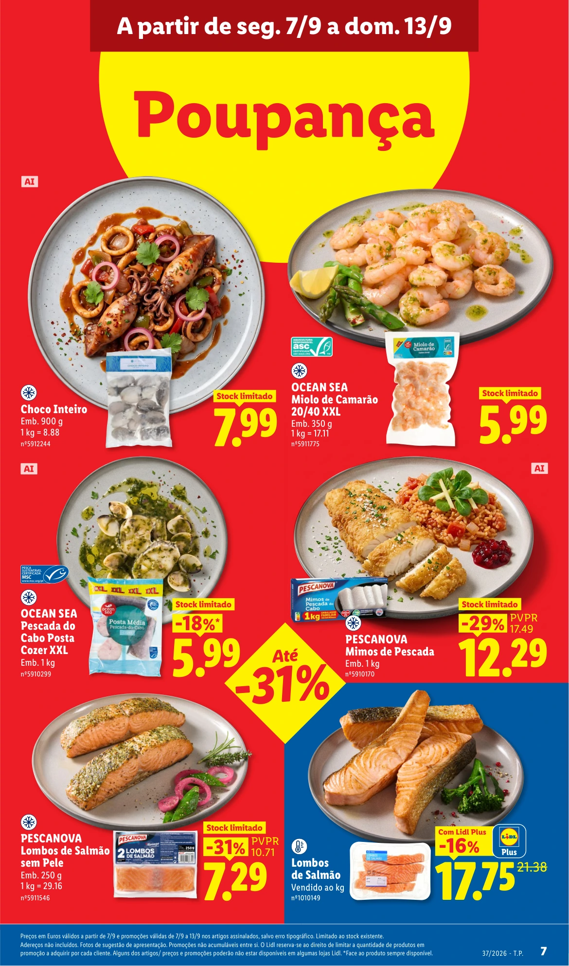 Flyer page 9