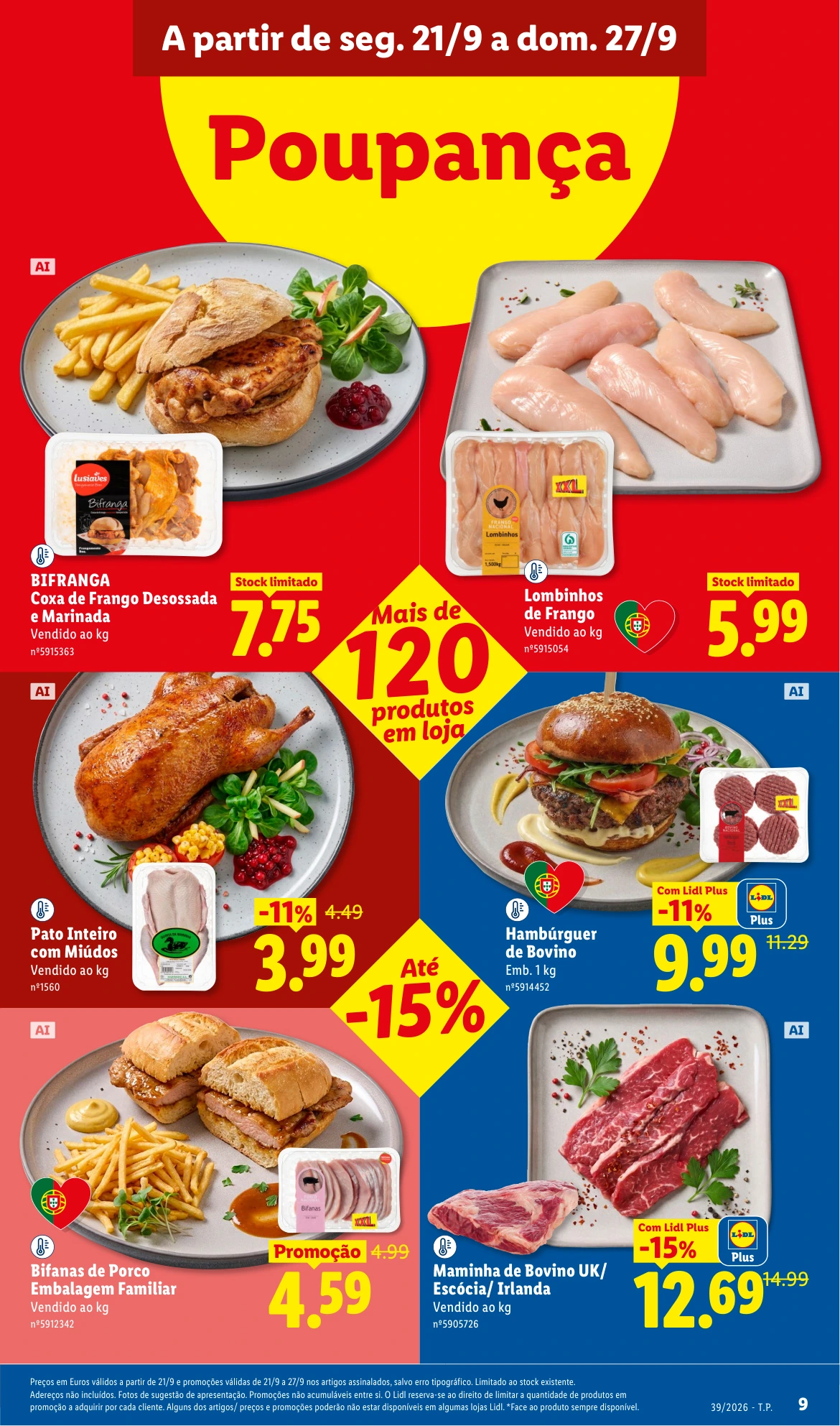 Flyer page 11