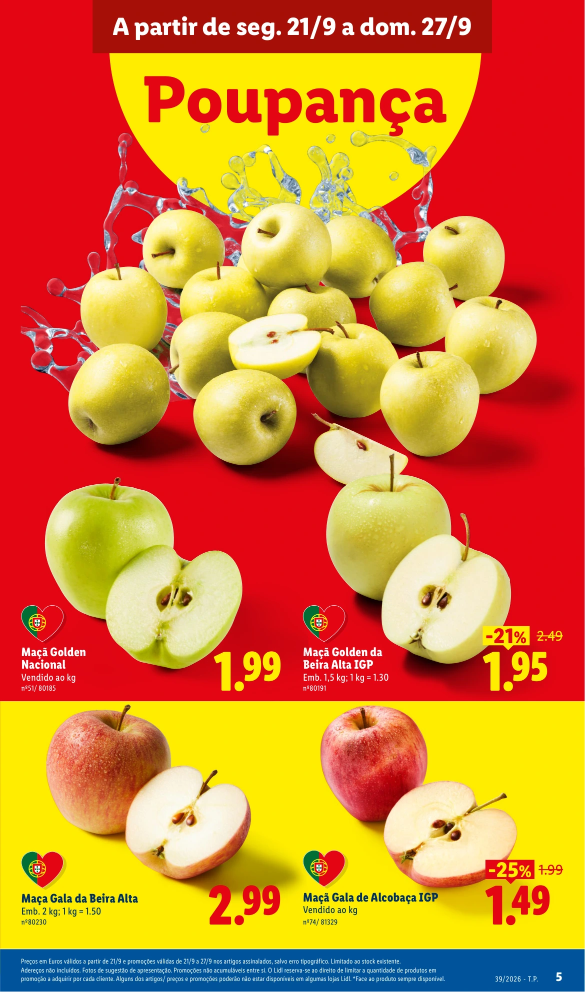 Flyer page 7