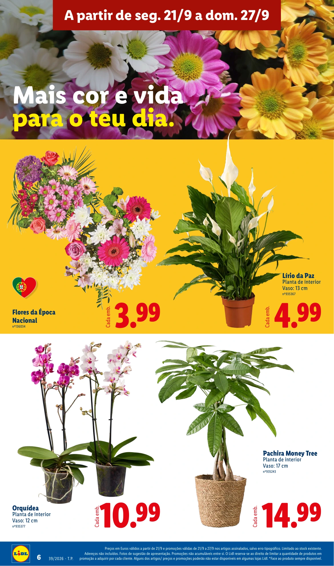 Flyer page 8