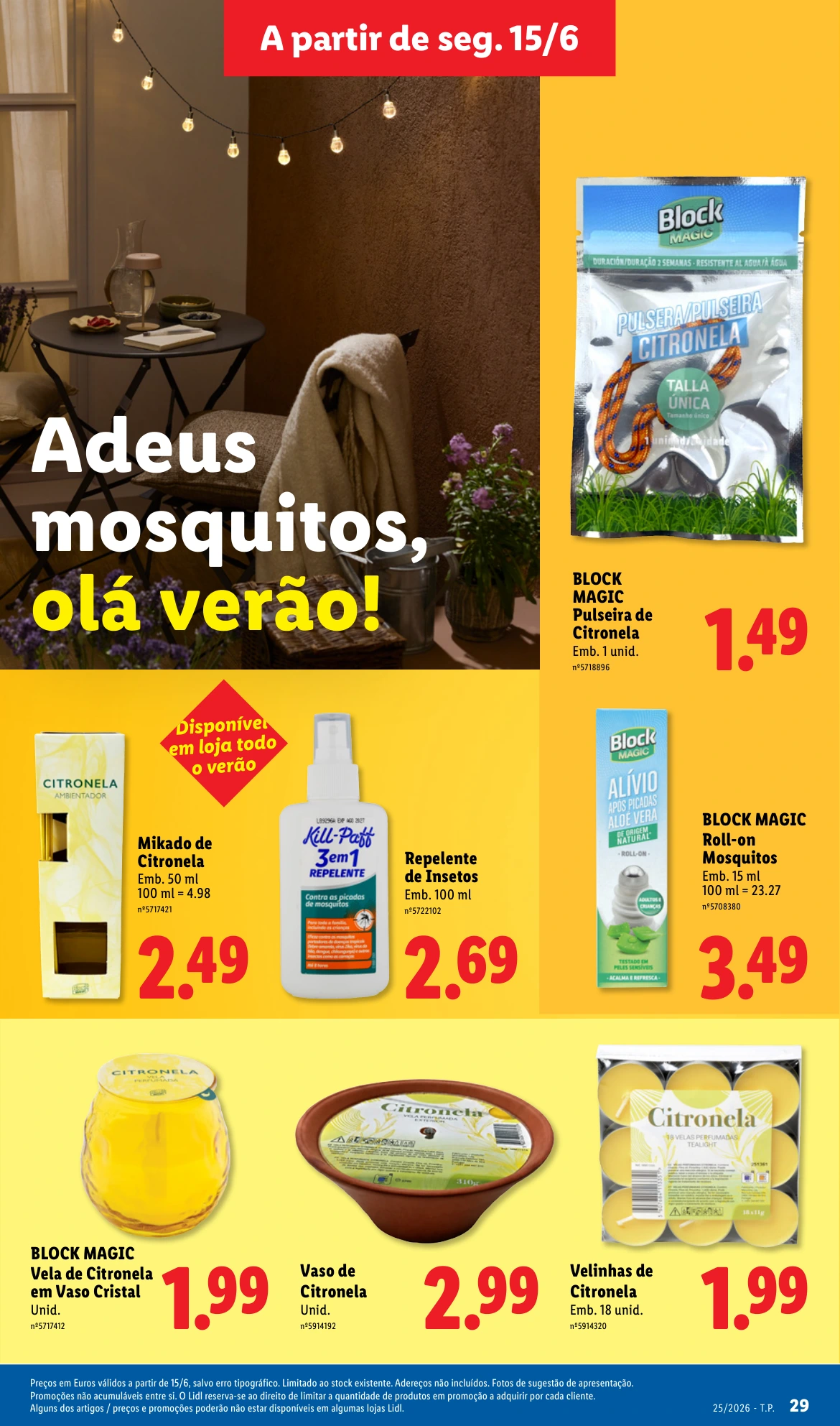 Flyer page 29