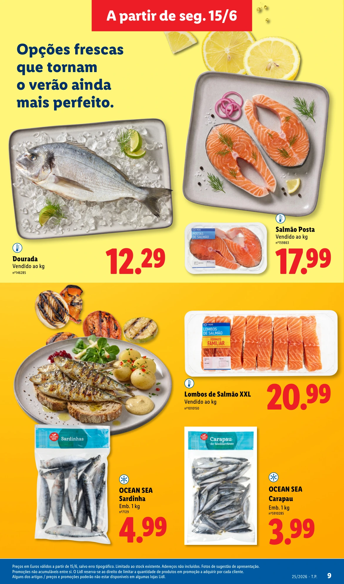 Flyer page 9