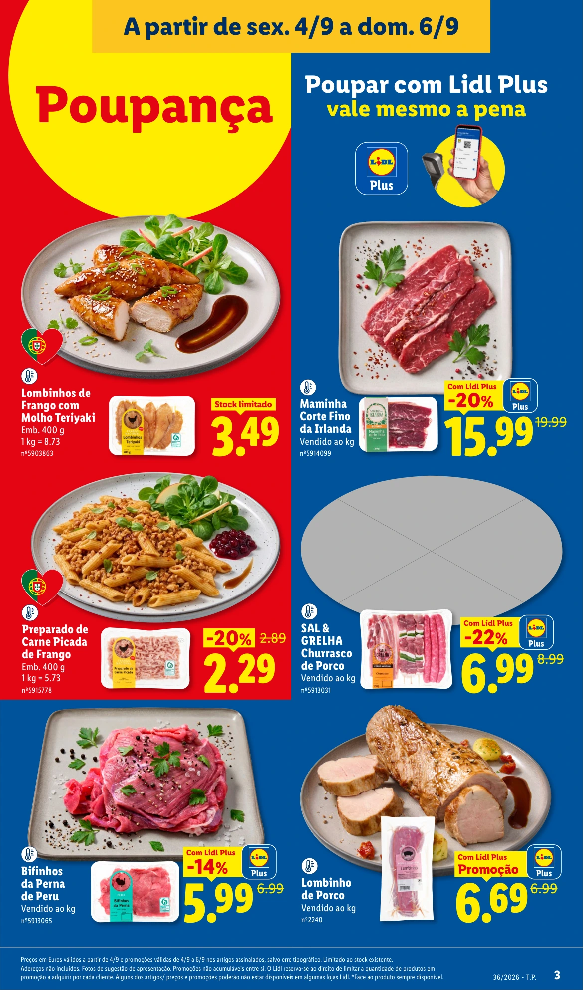 Flyer page 5