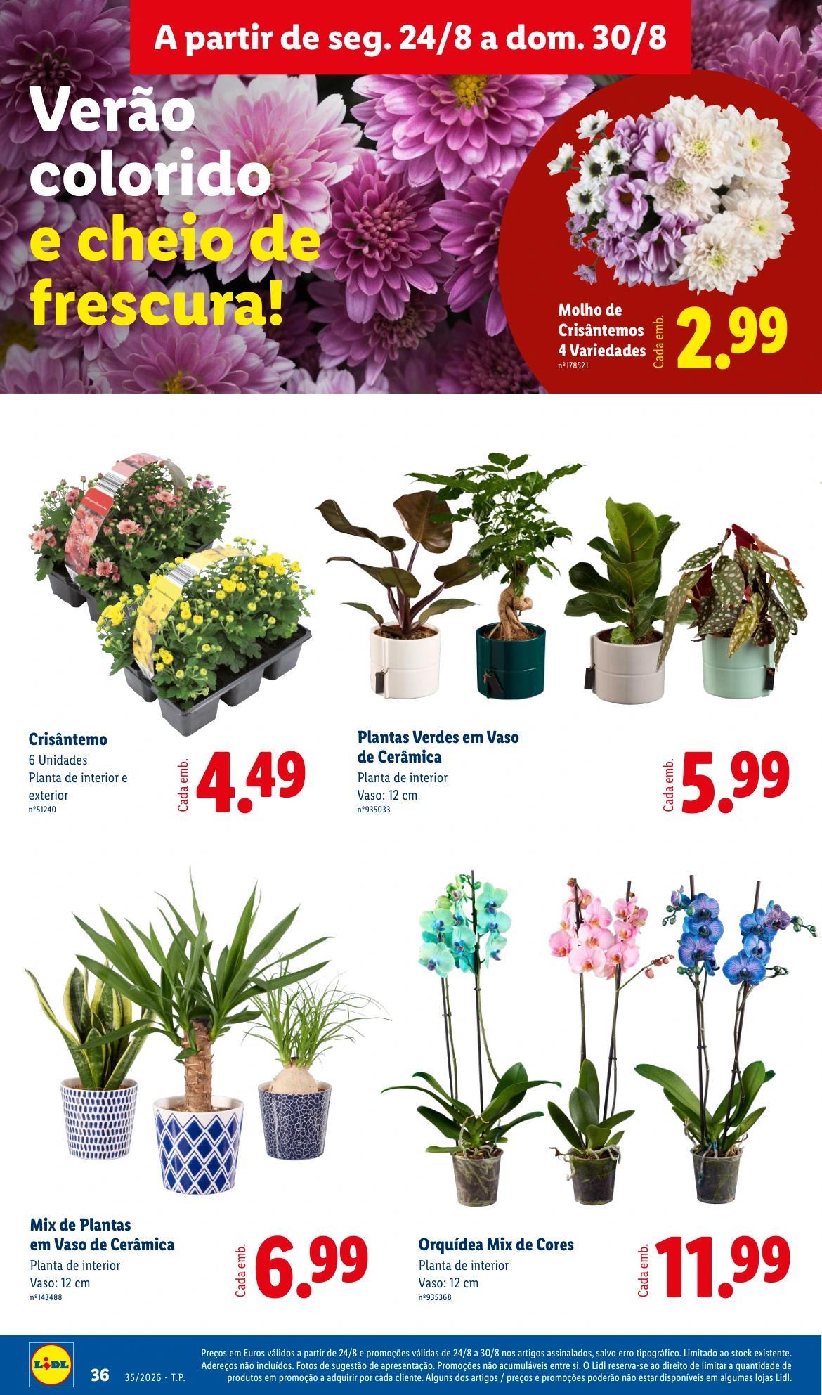 Flyer page 36