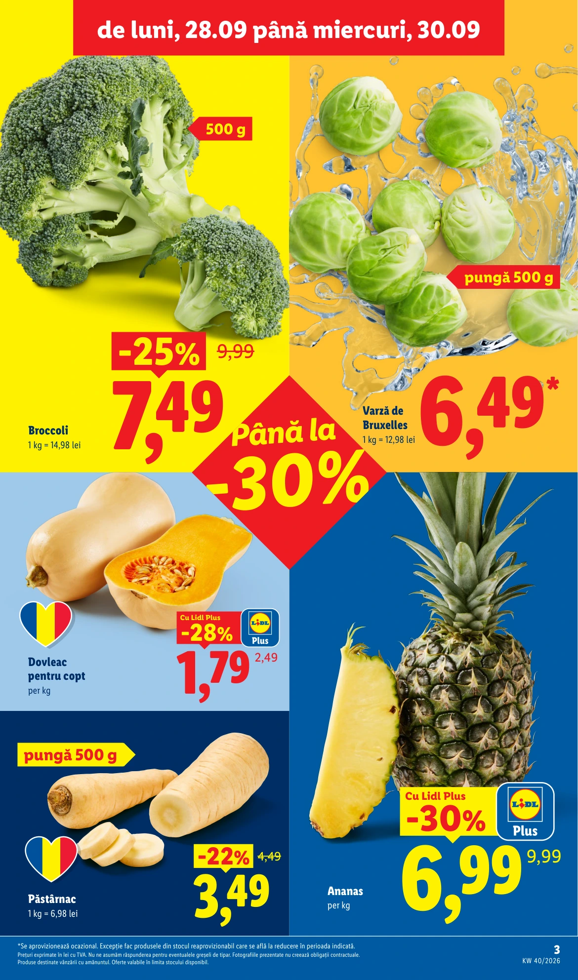 Flyer page 3