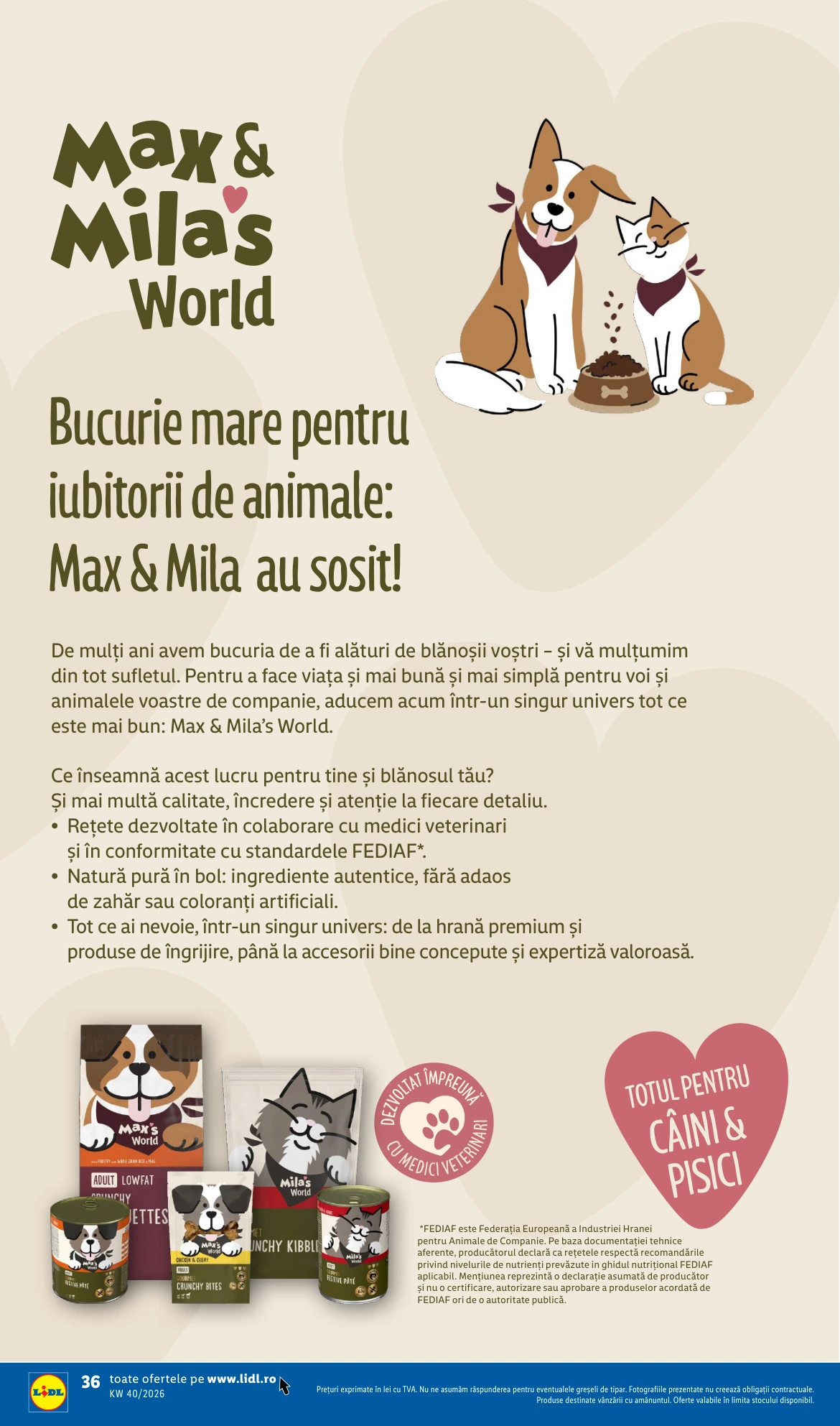 Flyer page 36