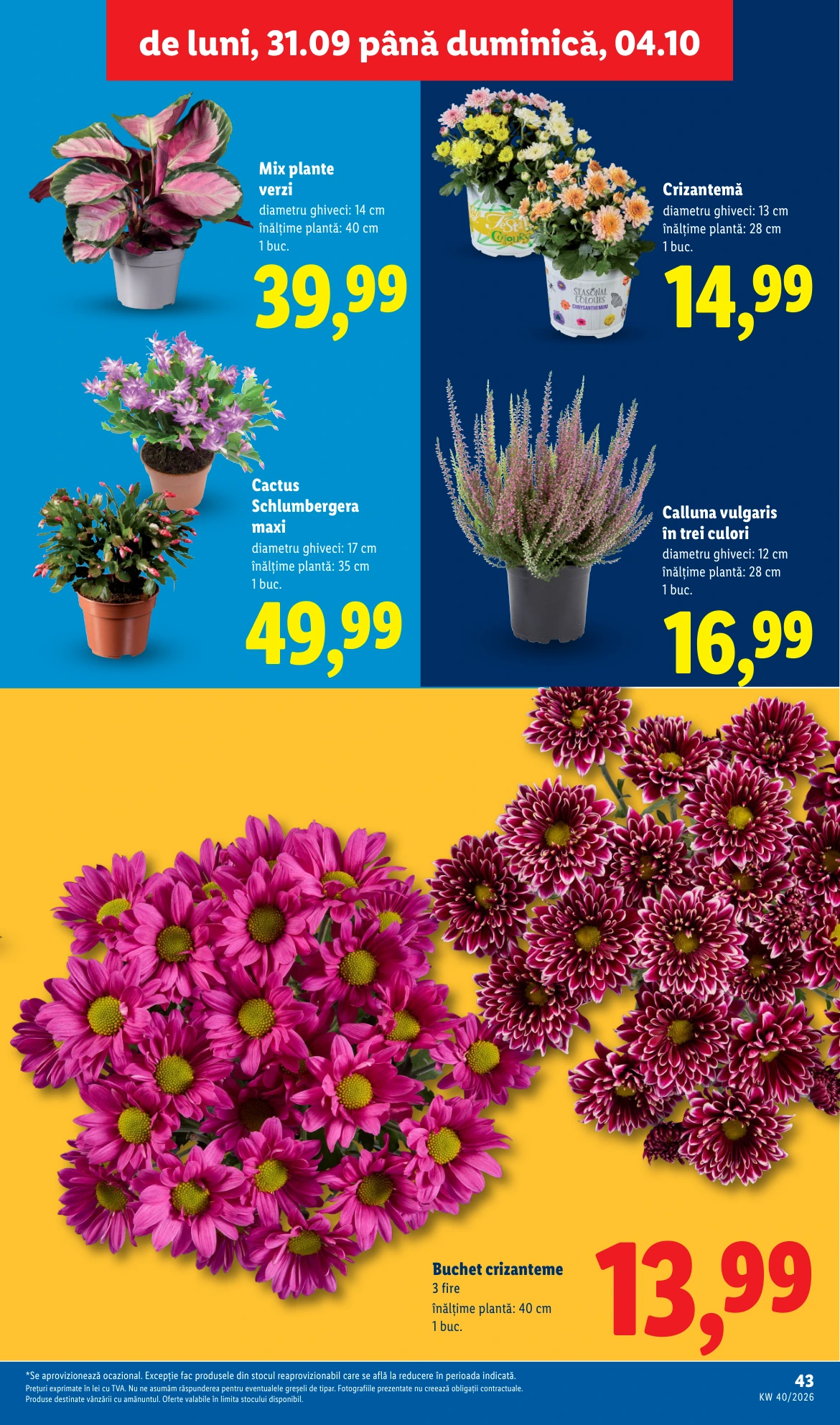 Flyer page 43