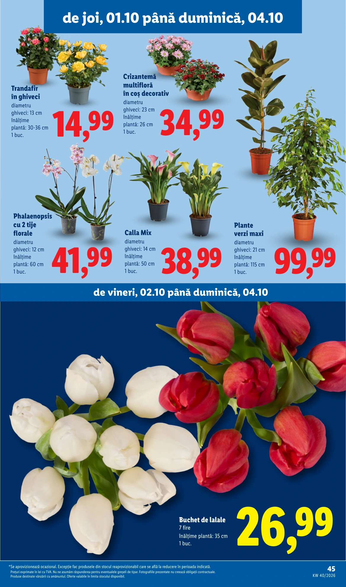 Flyer page 45