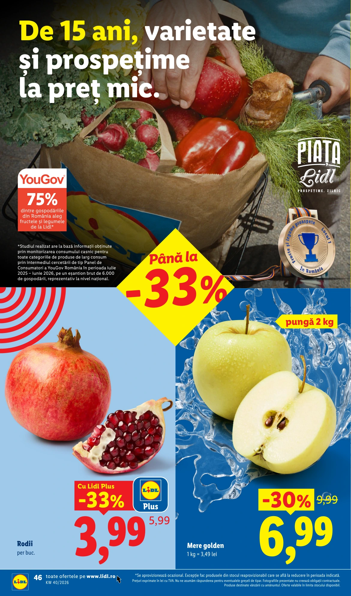 Flyer page 46