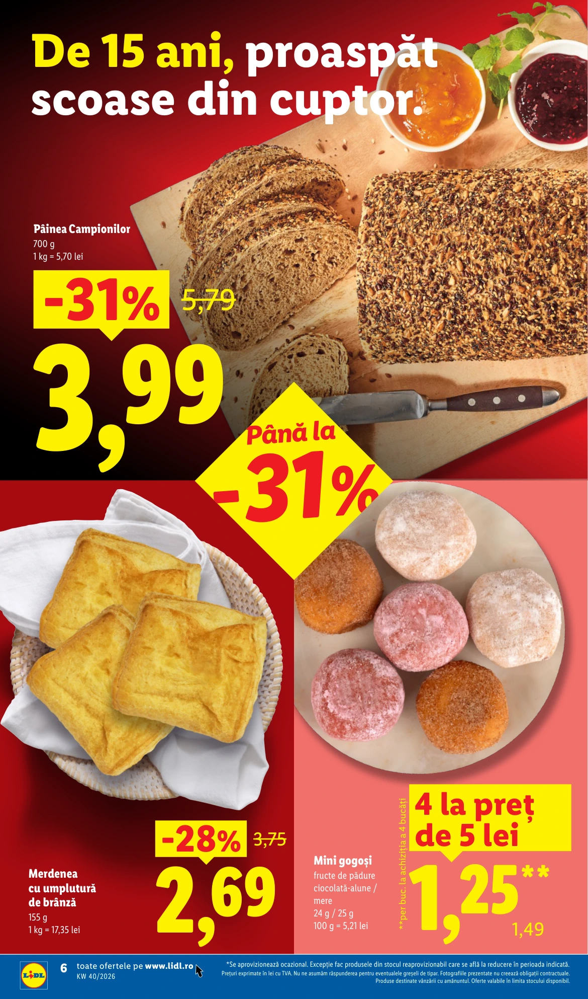 Flyer page 6
