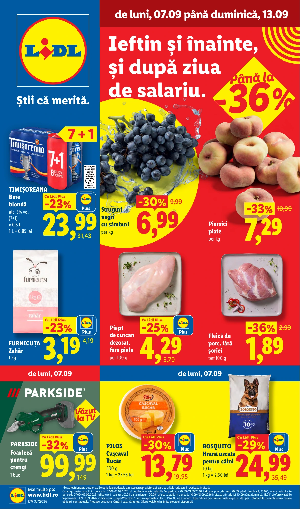 Flyer page 1