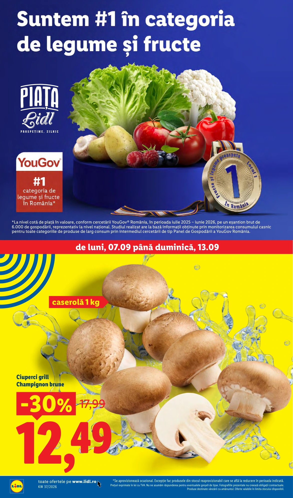 Flyer page 2