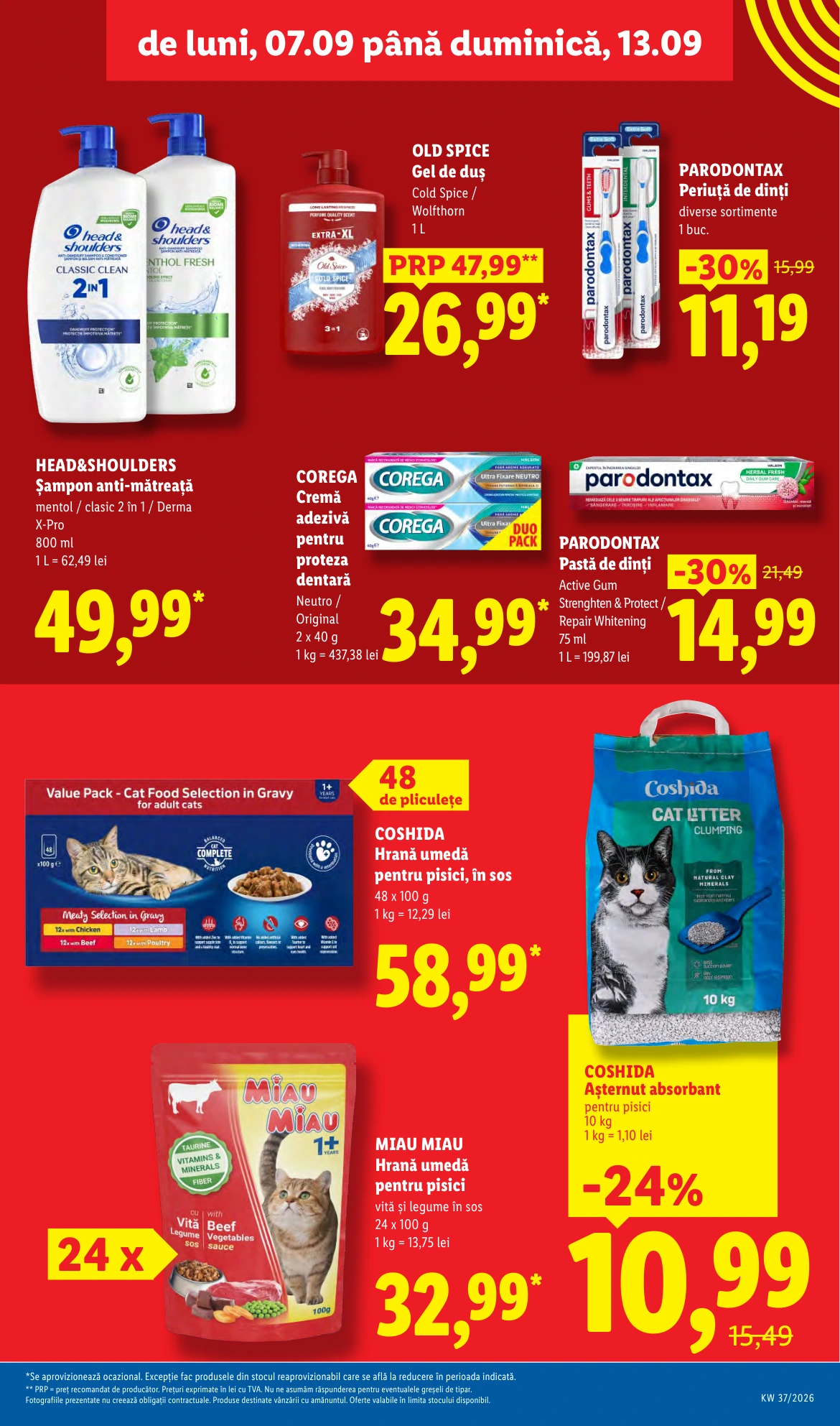 Flyer page 29