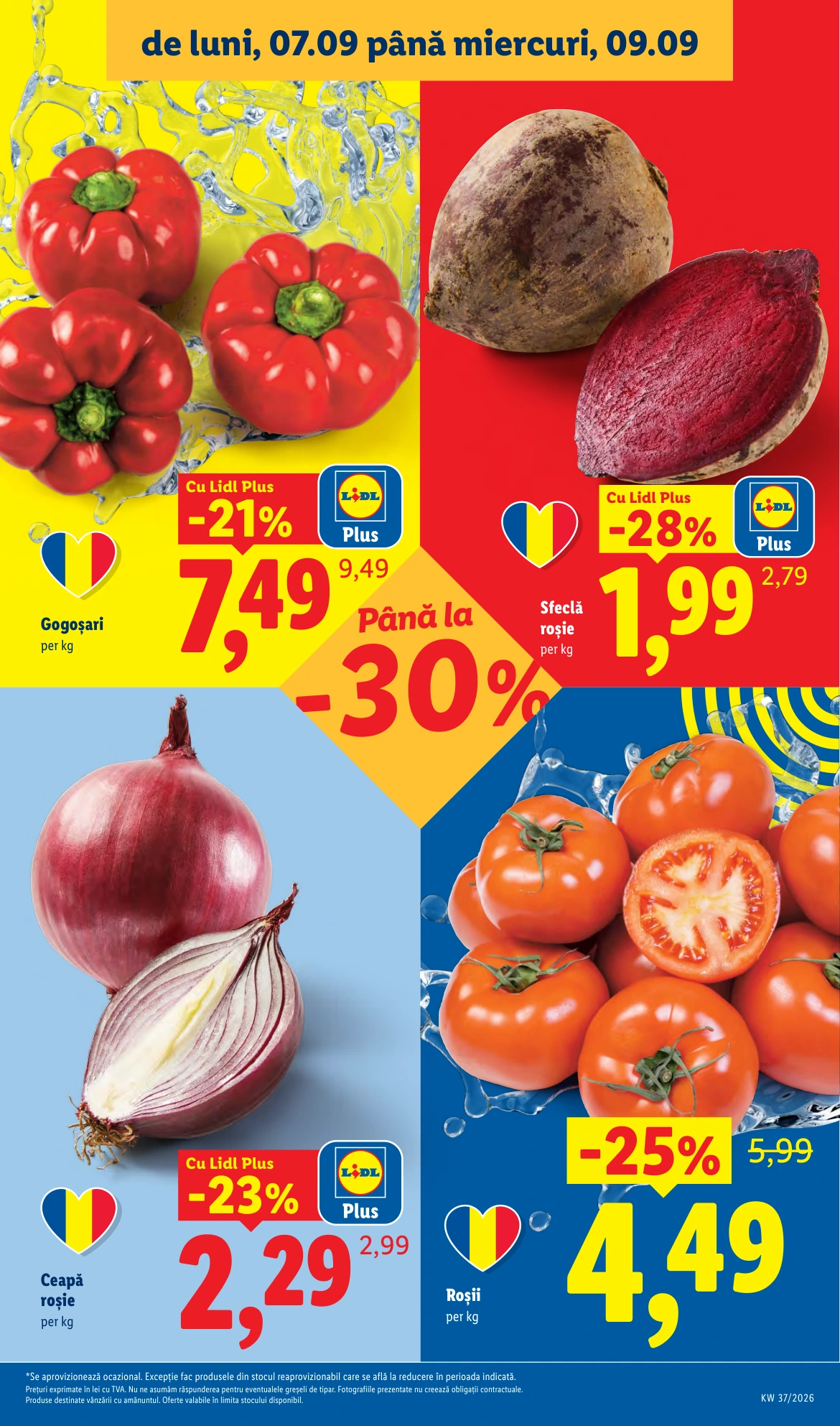 Flyer page 3