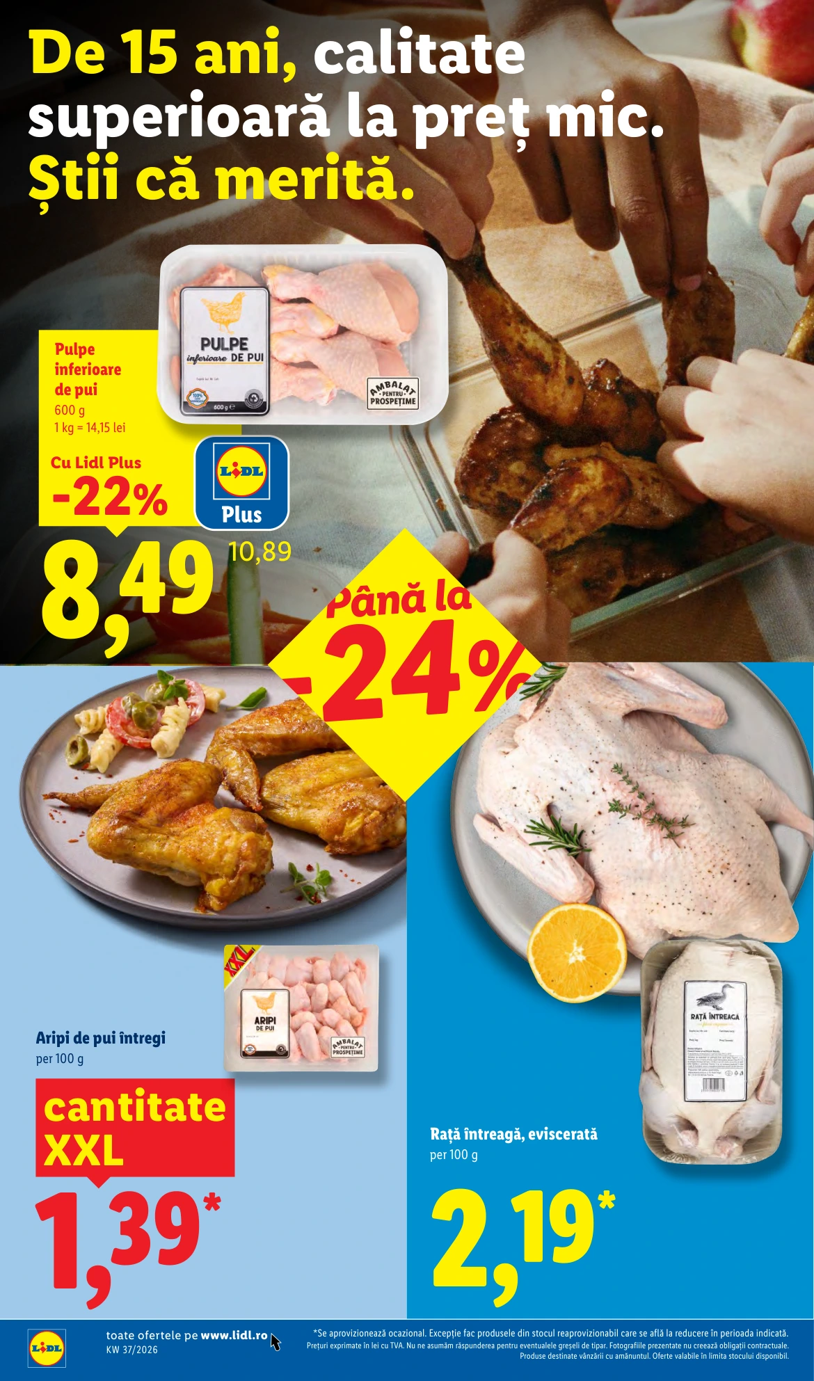 Flyer page 4