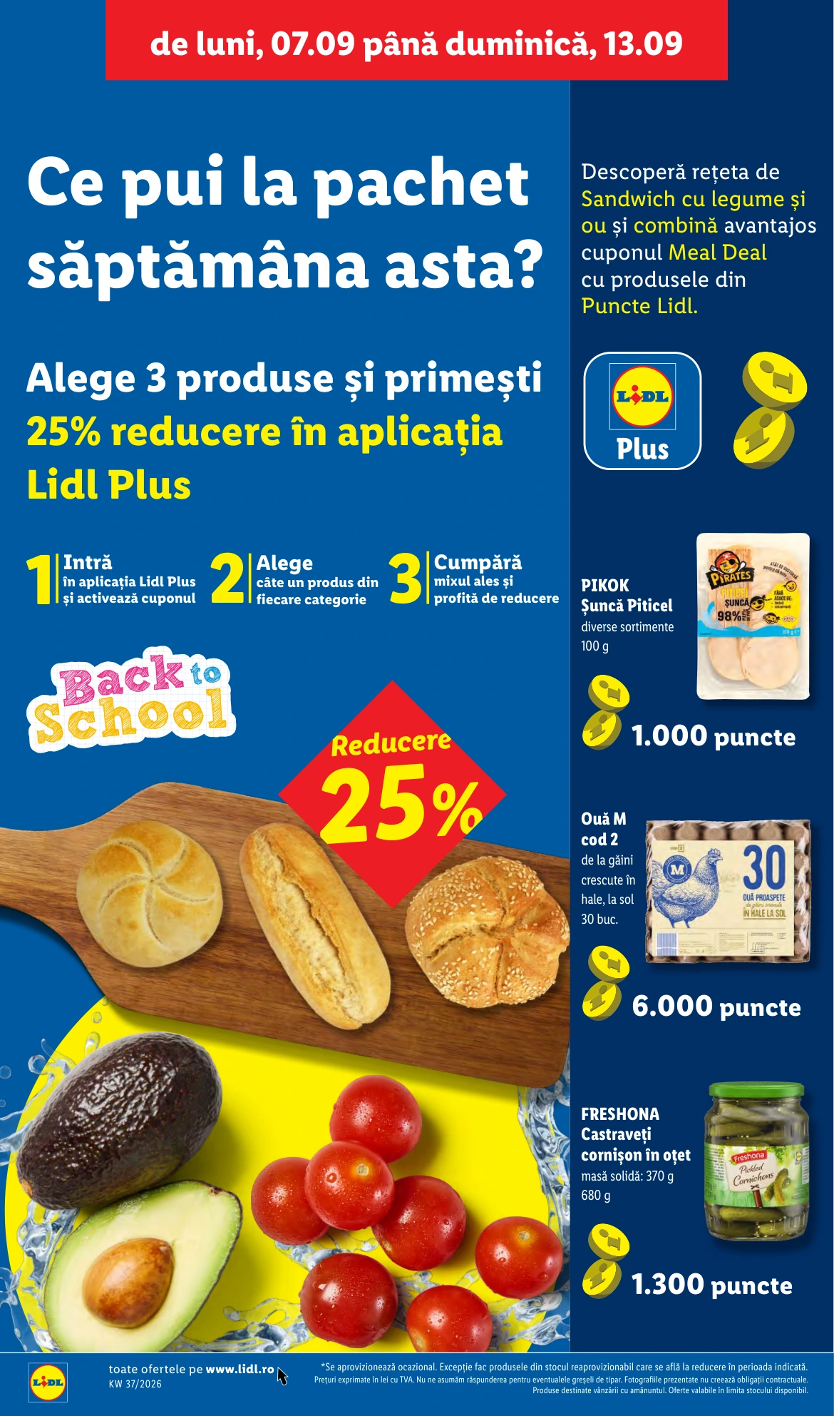 Flyer page 42