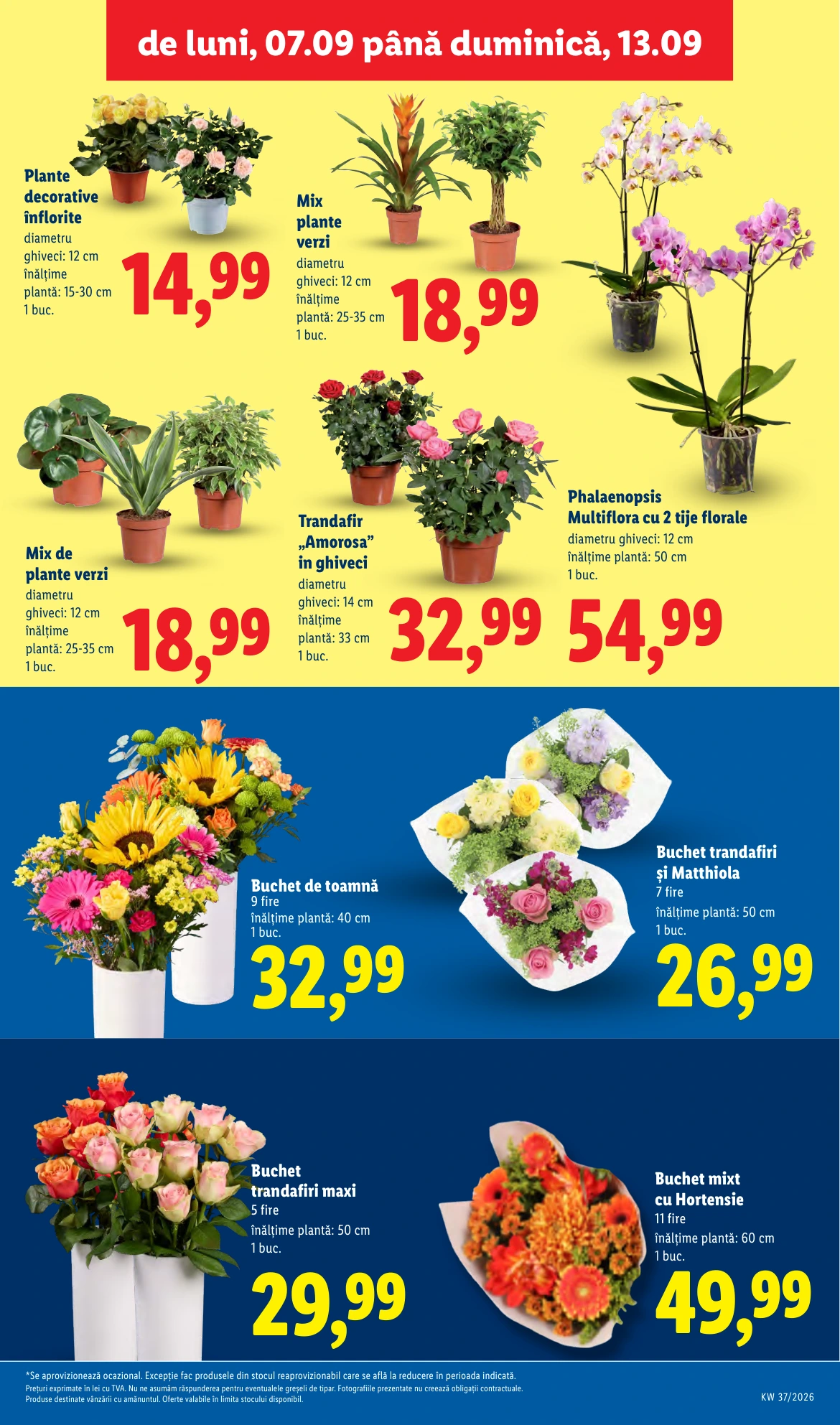 Flyer page 47