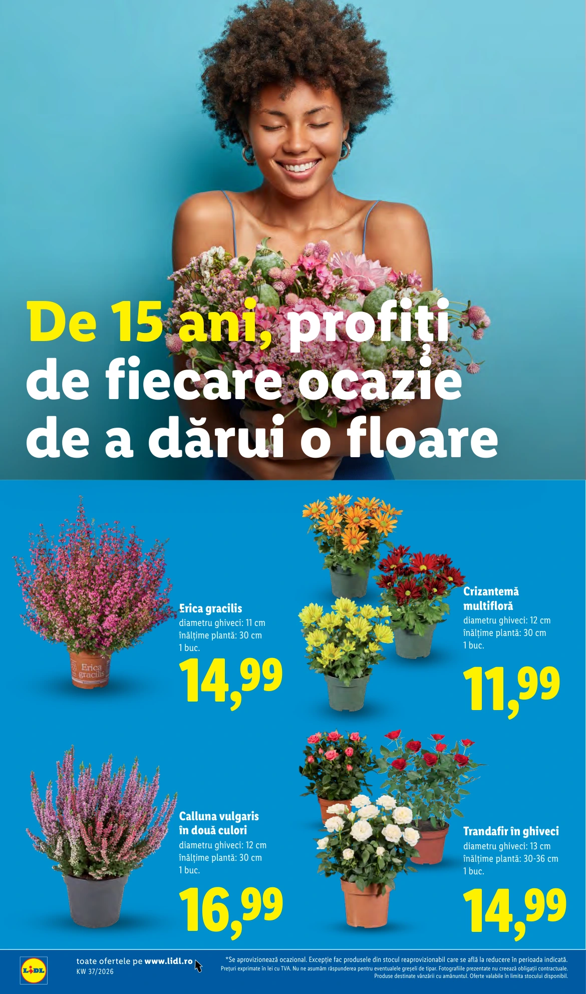 Flyer page 48