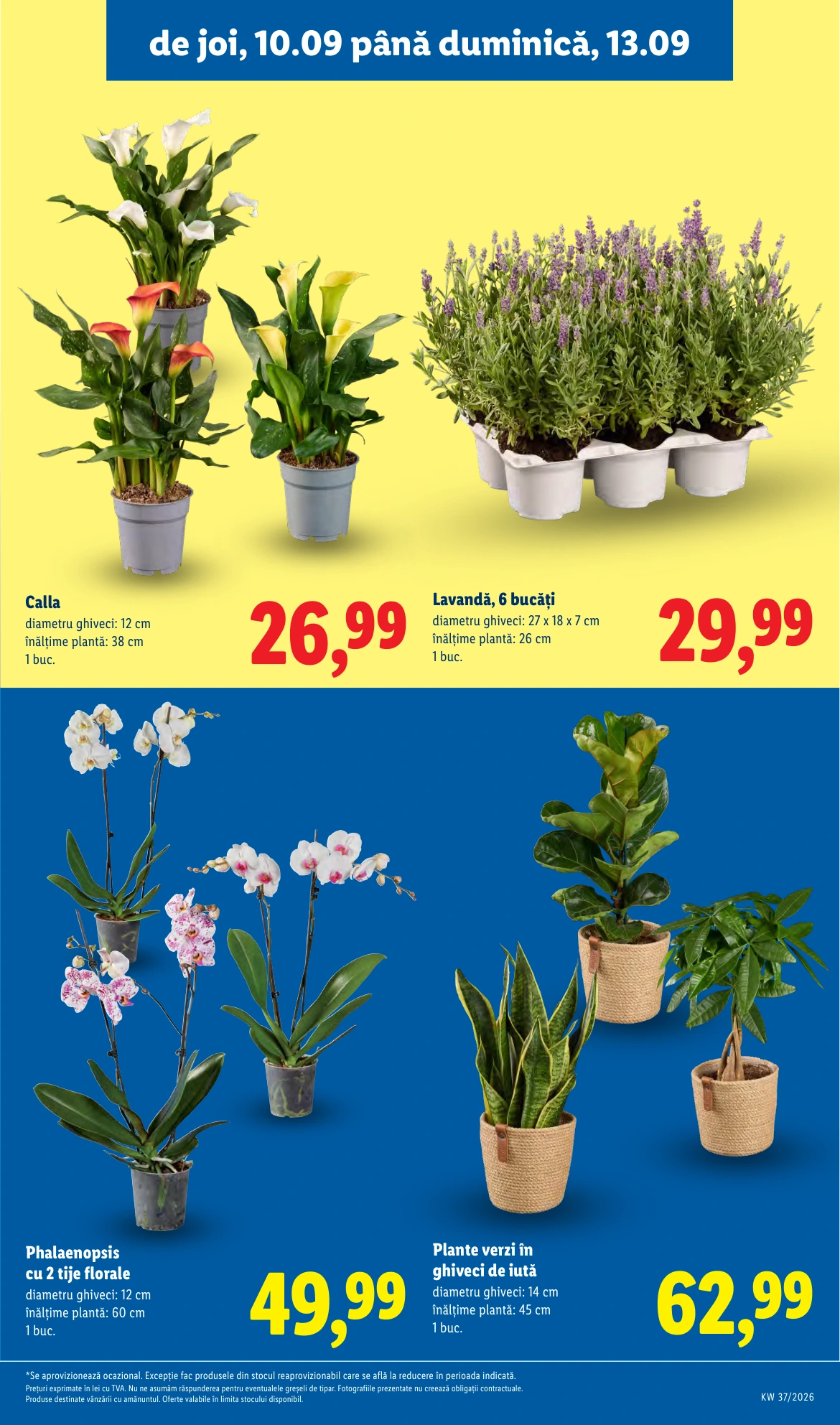 Flyer page 49
