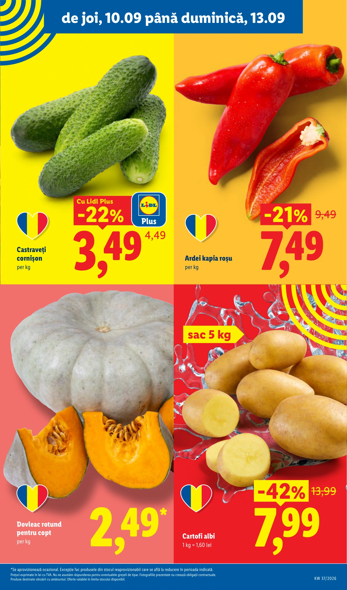 Flyer page 51