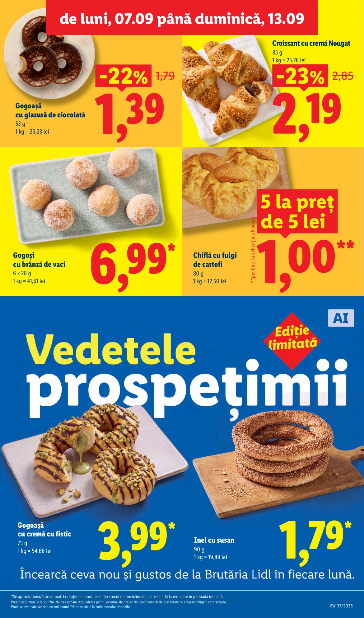 Flyer page 7