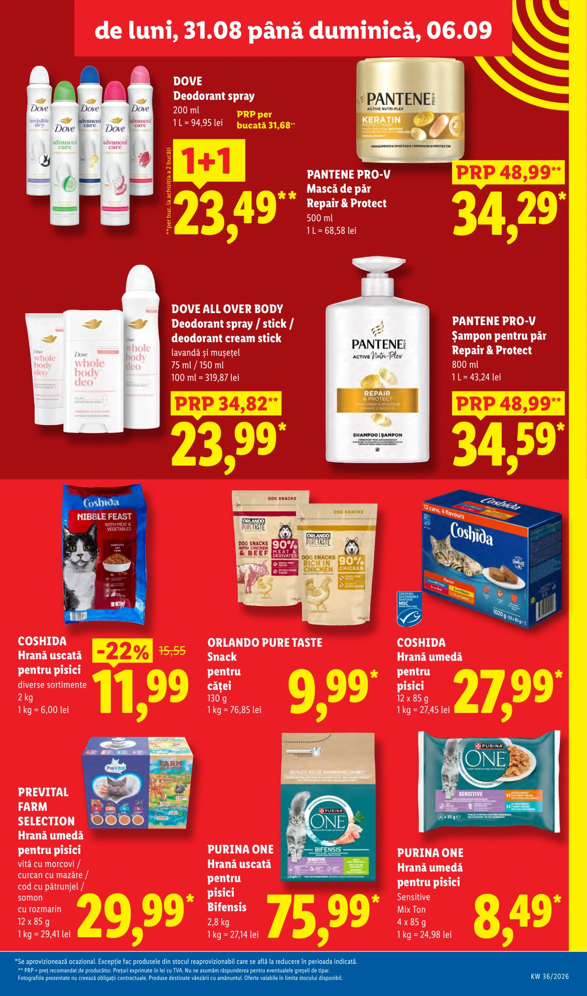 Flyer page 13