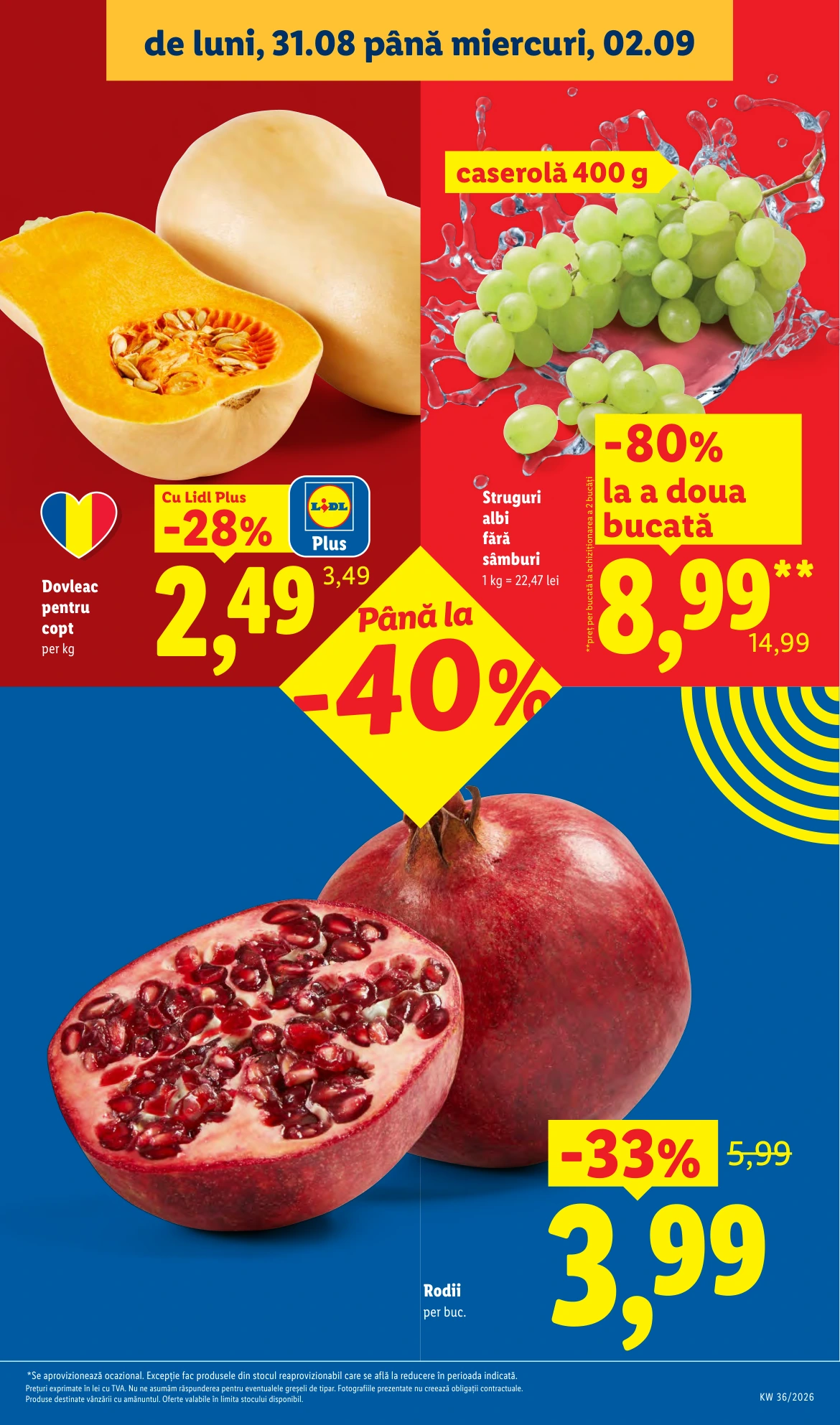 Flyer page 3