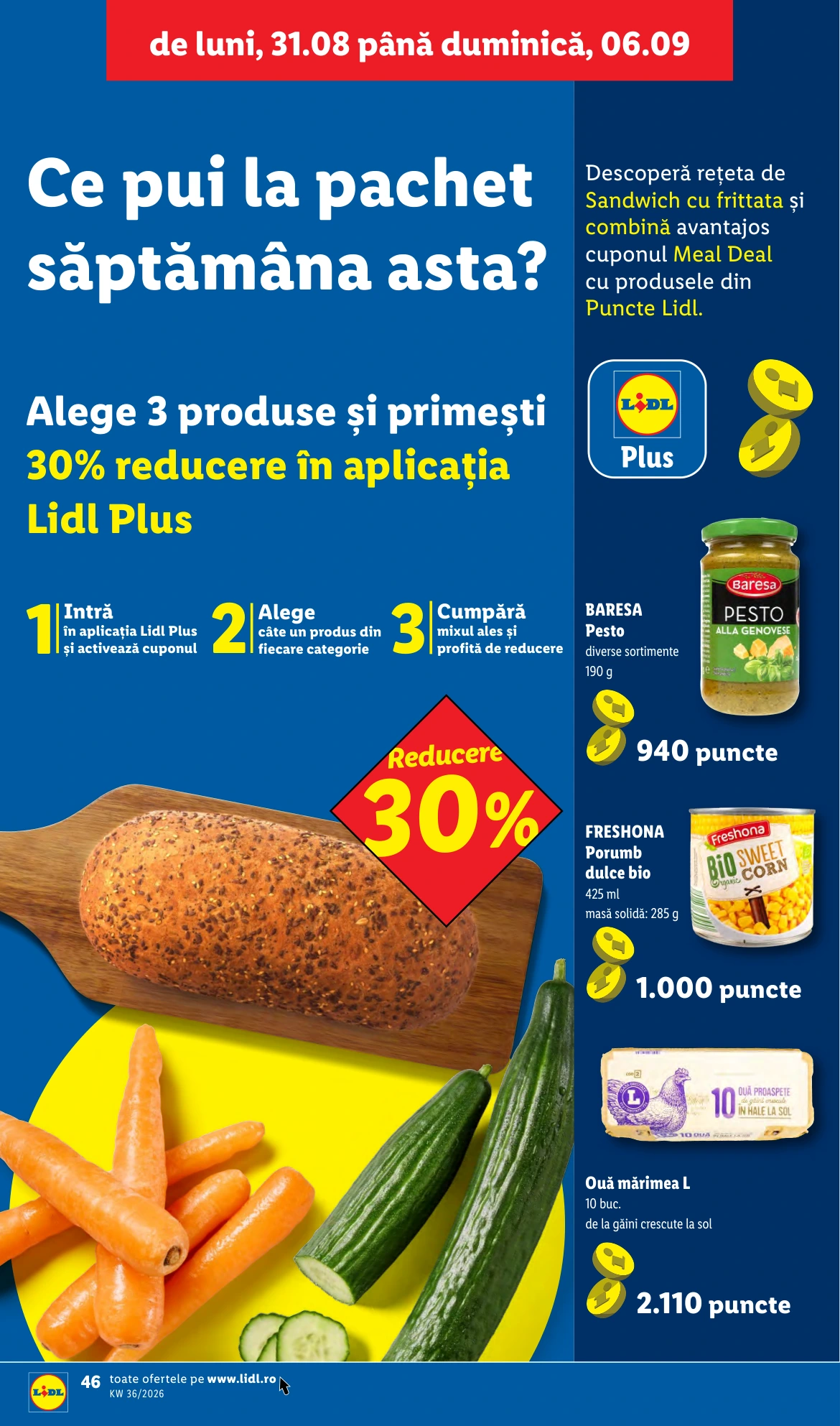 Flyer page 44