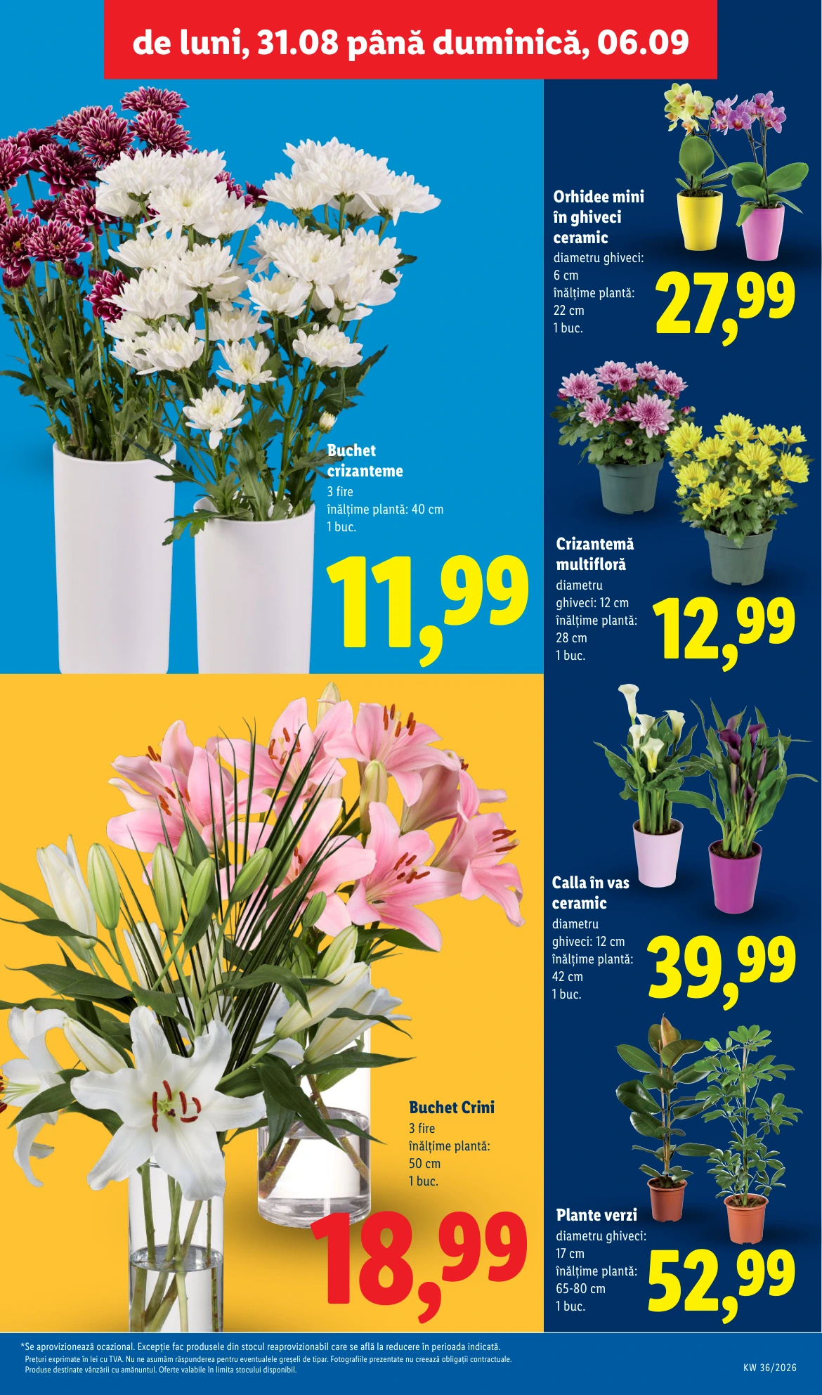 Flyer page 49