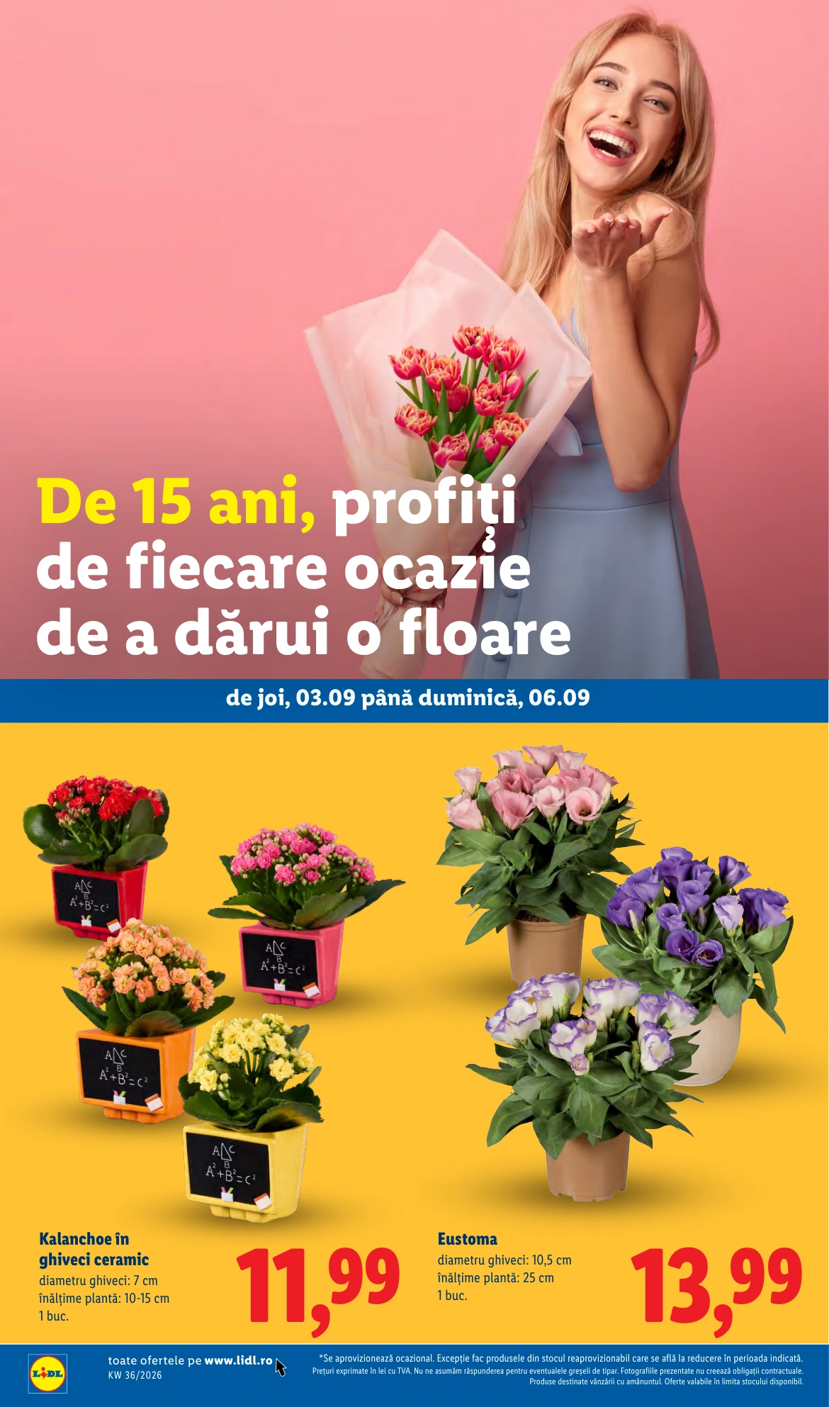 Flyer page 50