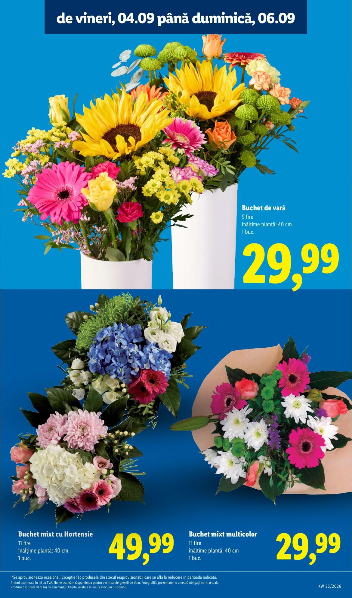 Flyer page 81