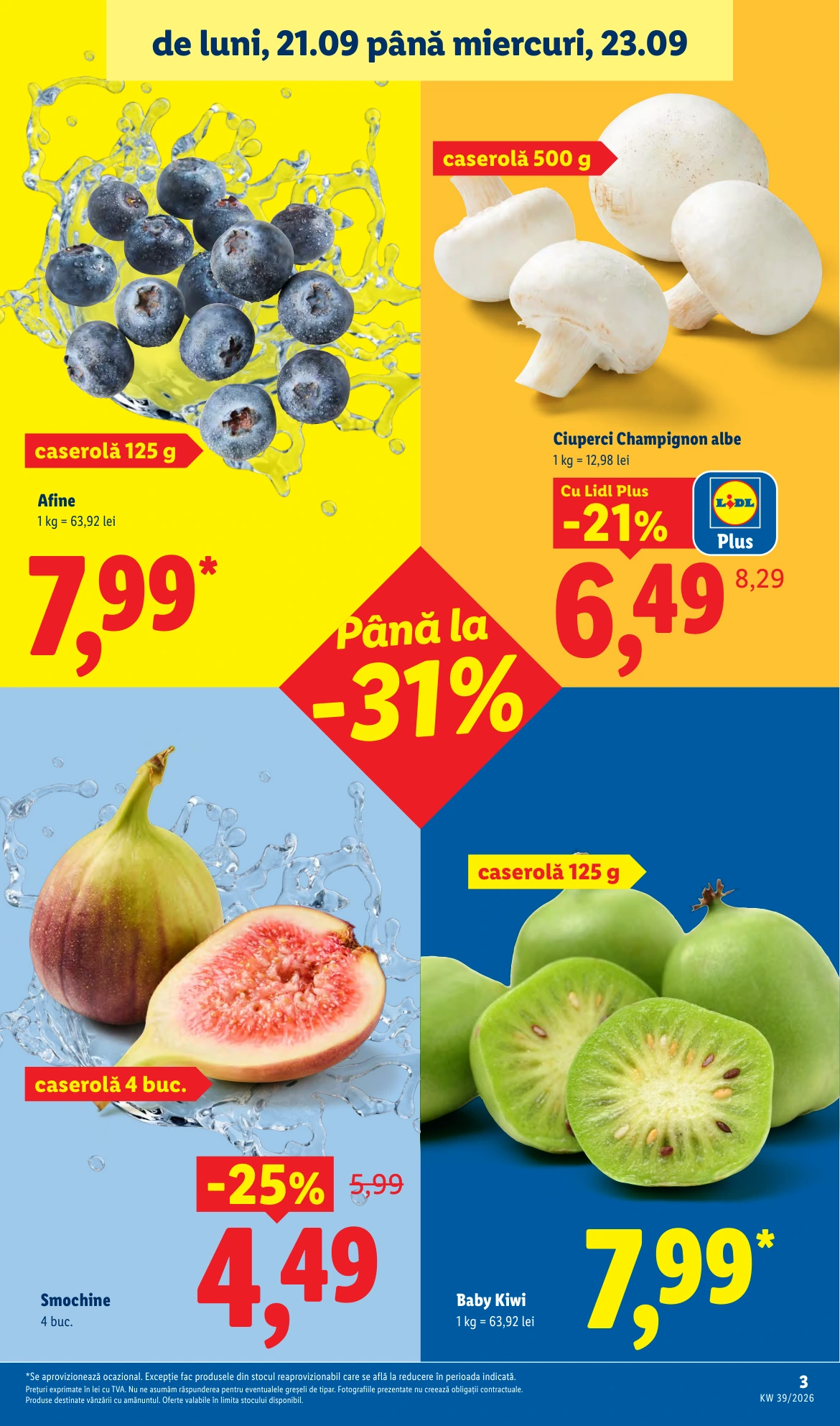 Flyer page 3