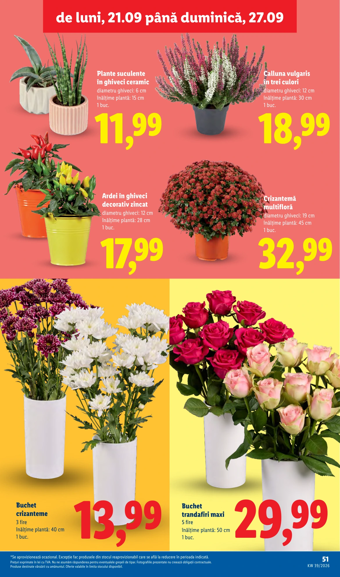 Flyer page 51